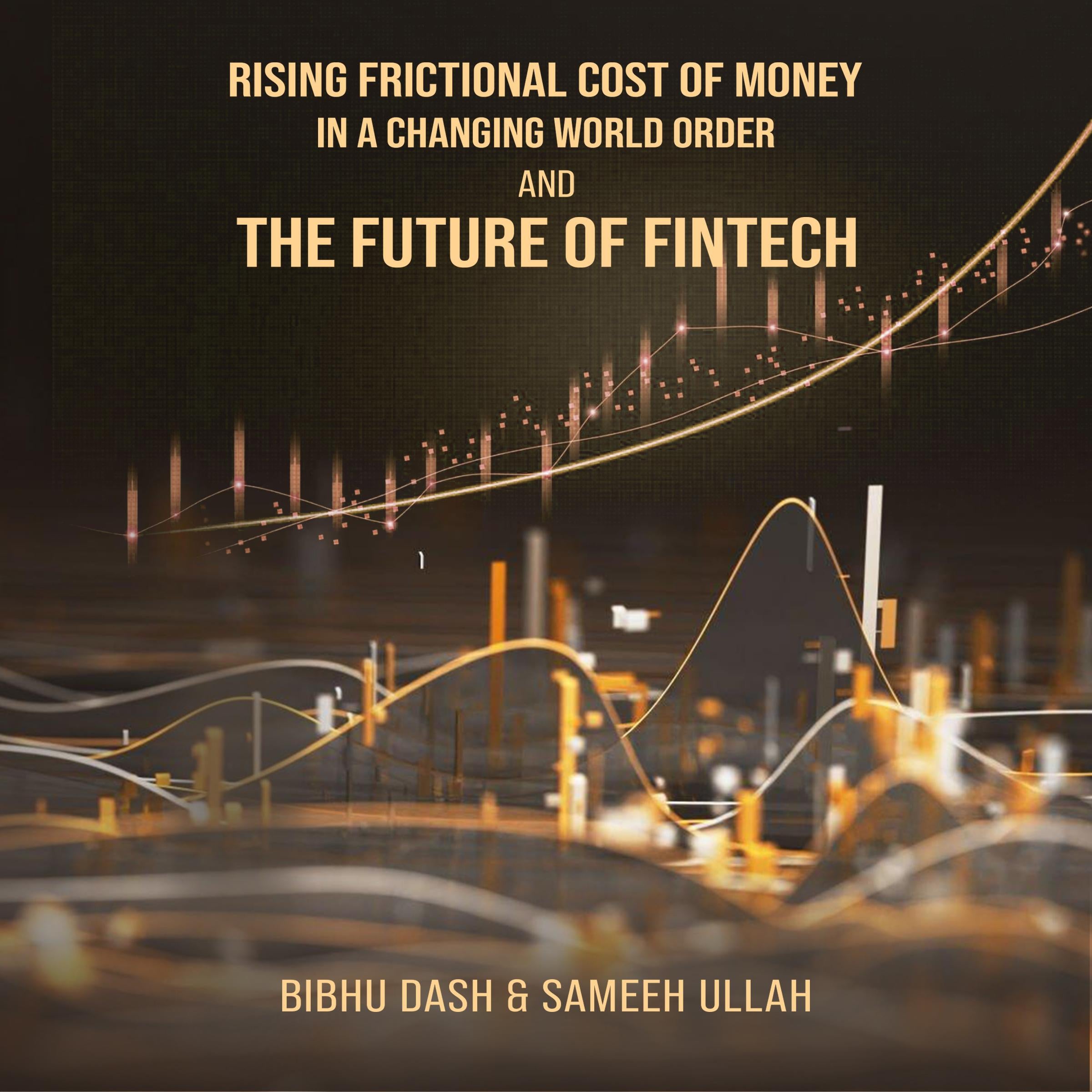 Rising Frictional Cost of Money in A Changing World Order And The Future of Fintech