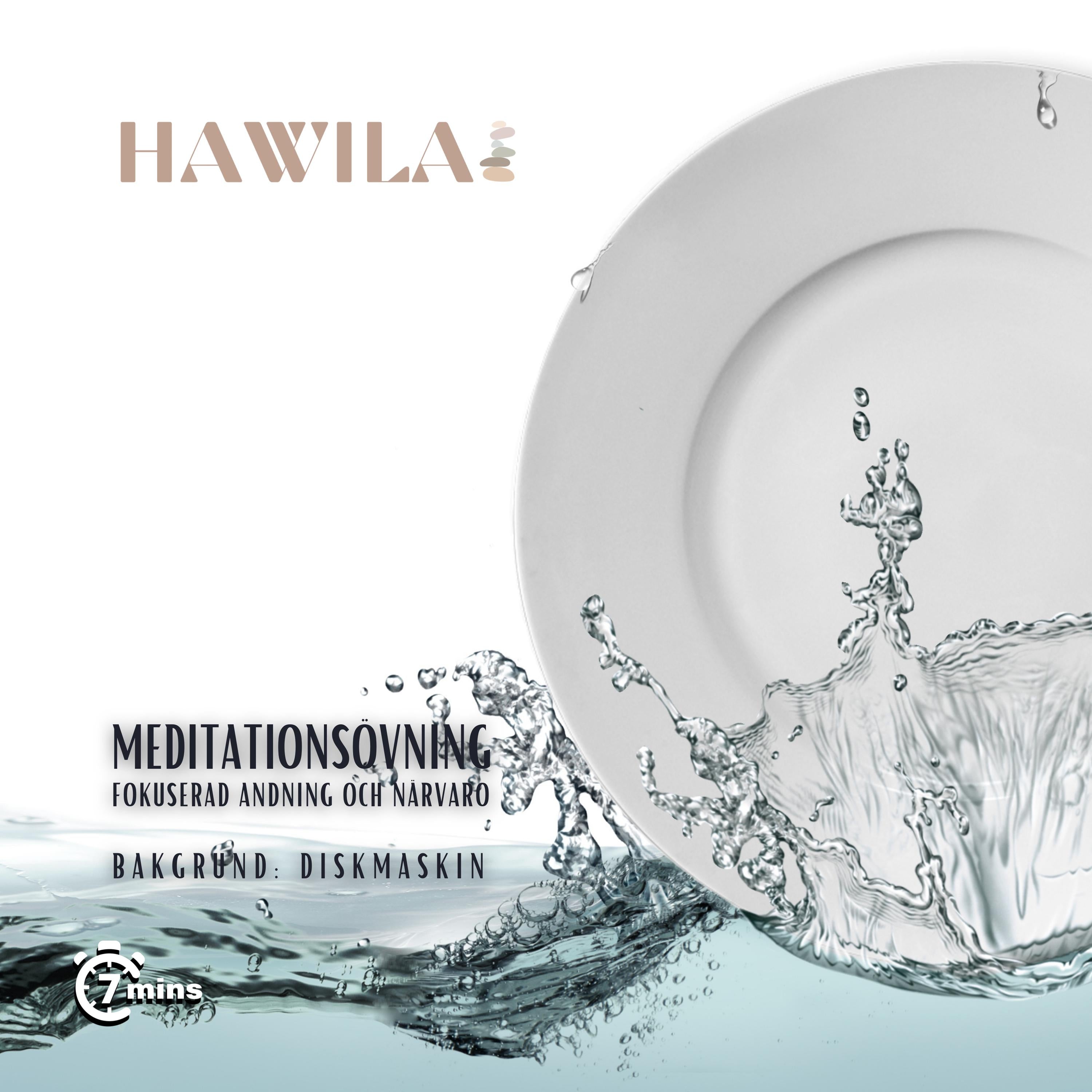 Meditationsövning - Diskmaskin