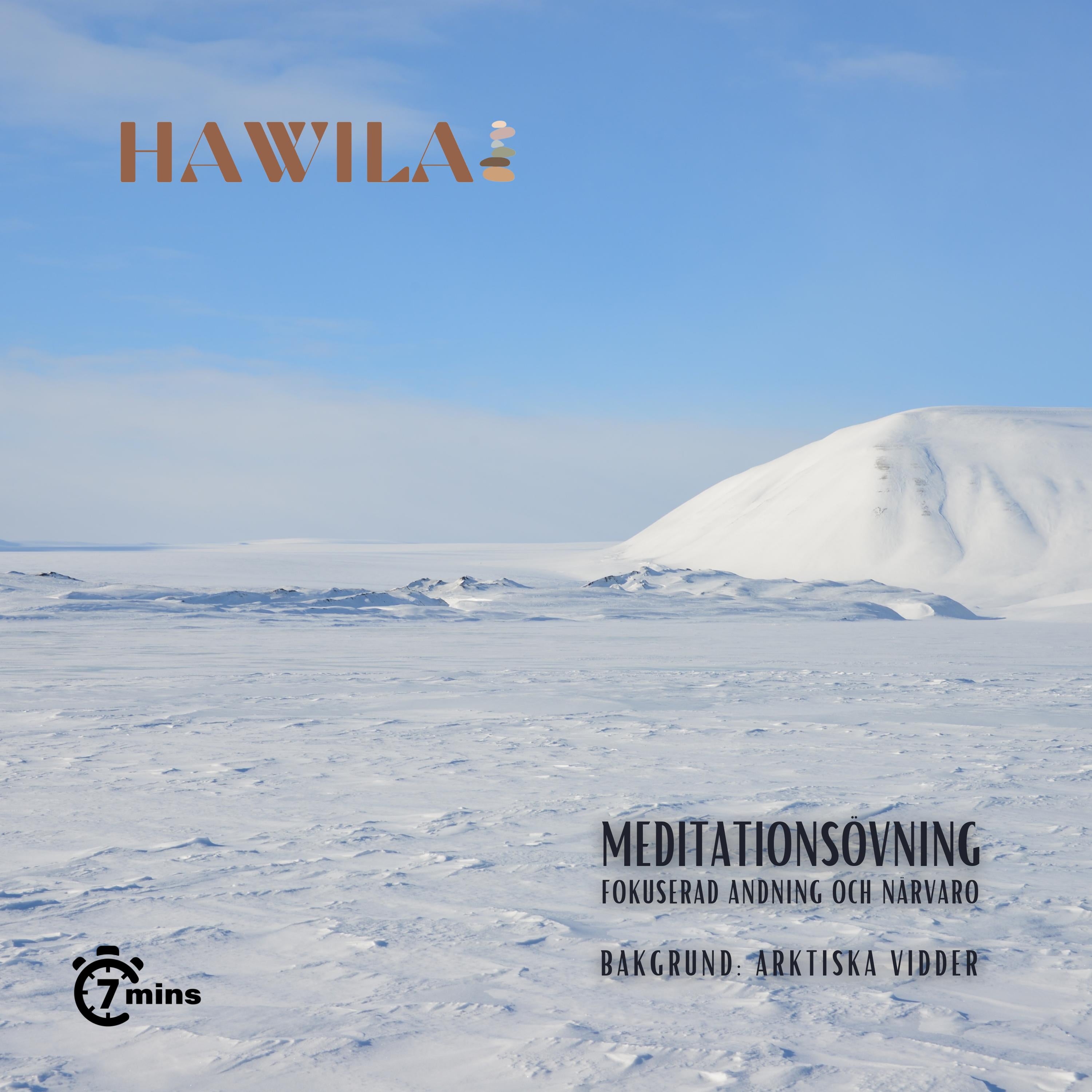 Meditationsövning - Arktiska vidder