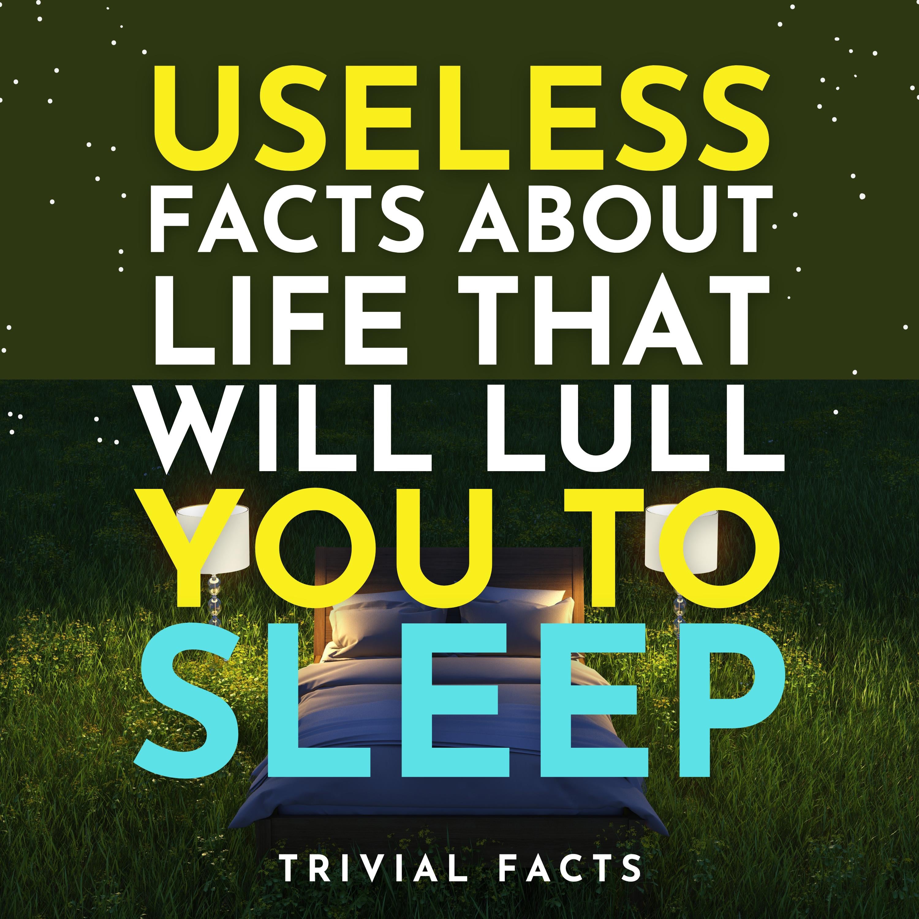 Useless Facts About Life That Will Lull You to Sleep