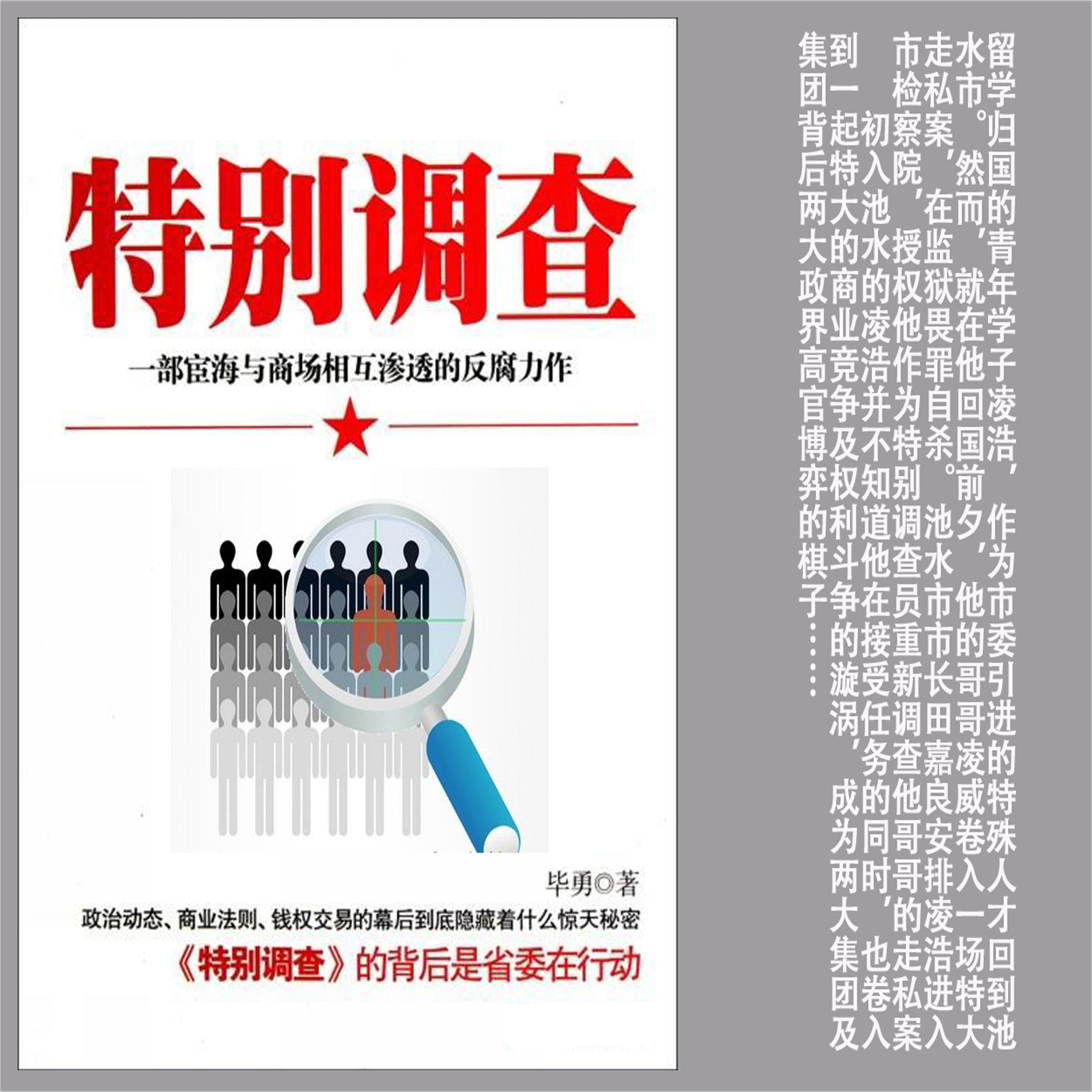 特别调查