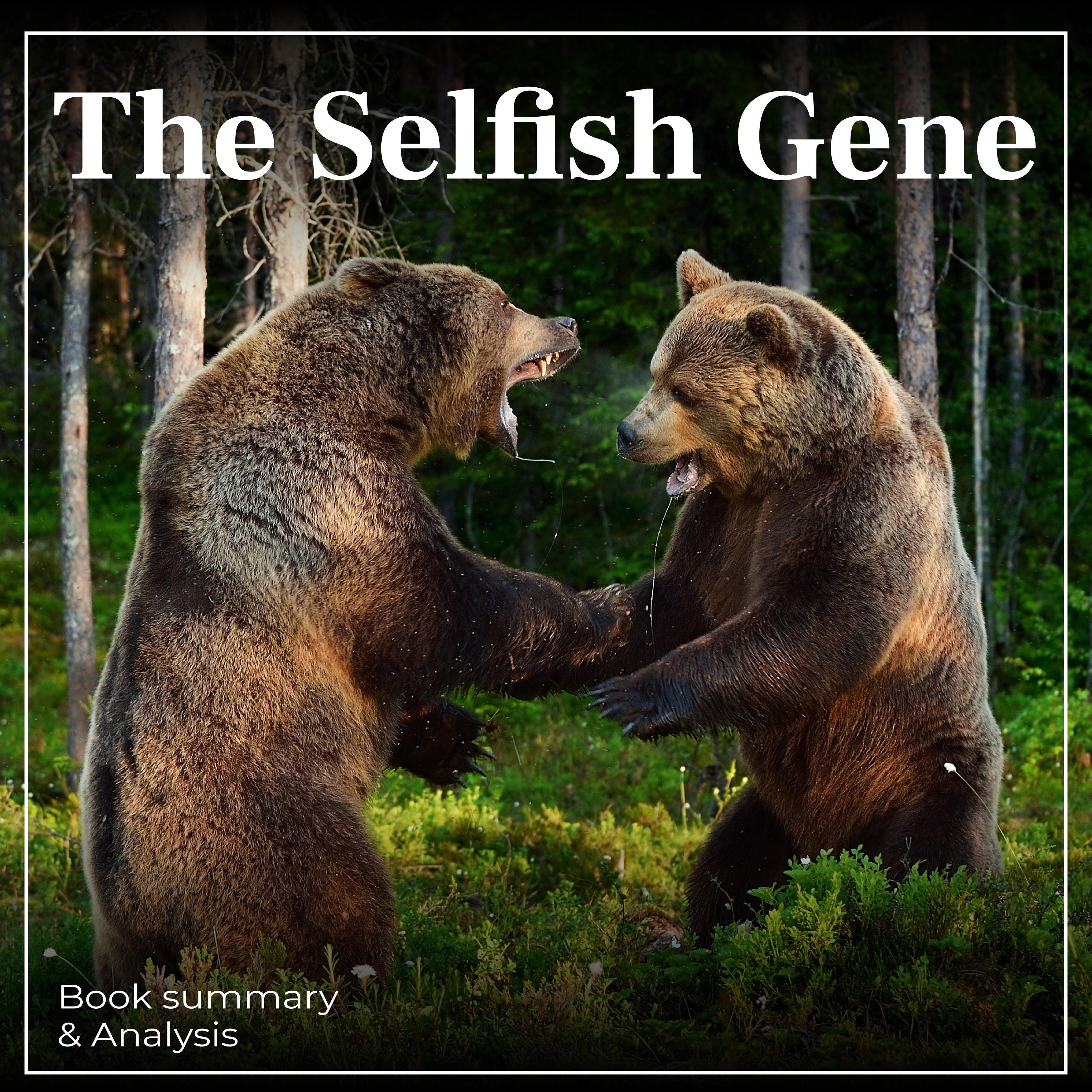The Selfish Gene: Book Summary & Analysis