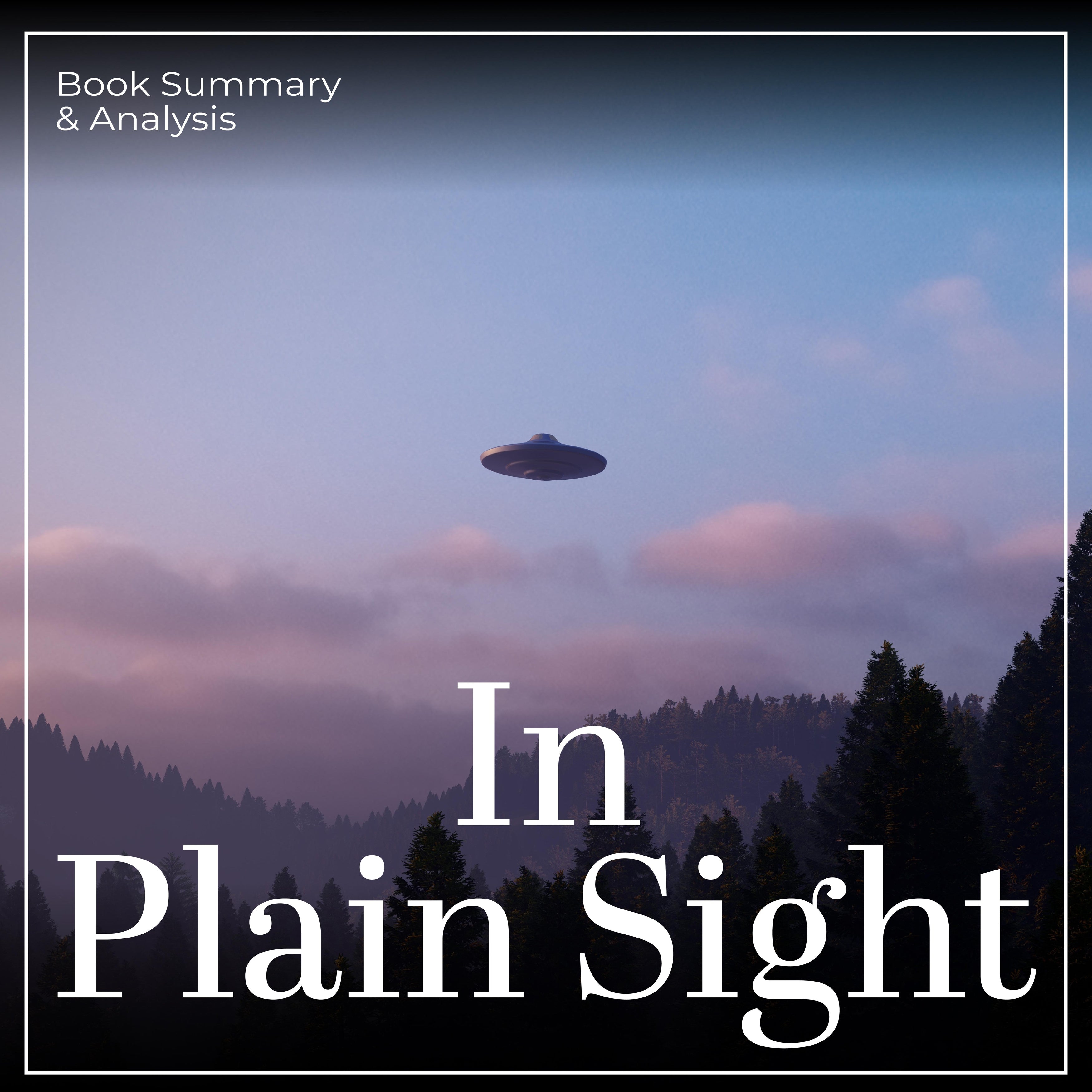 In Plain Sight: Book Summary & Analysis