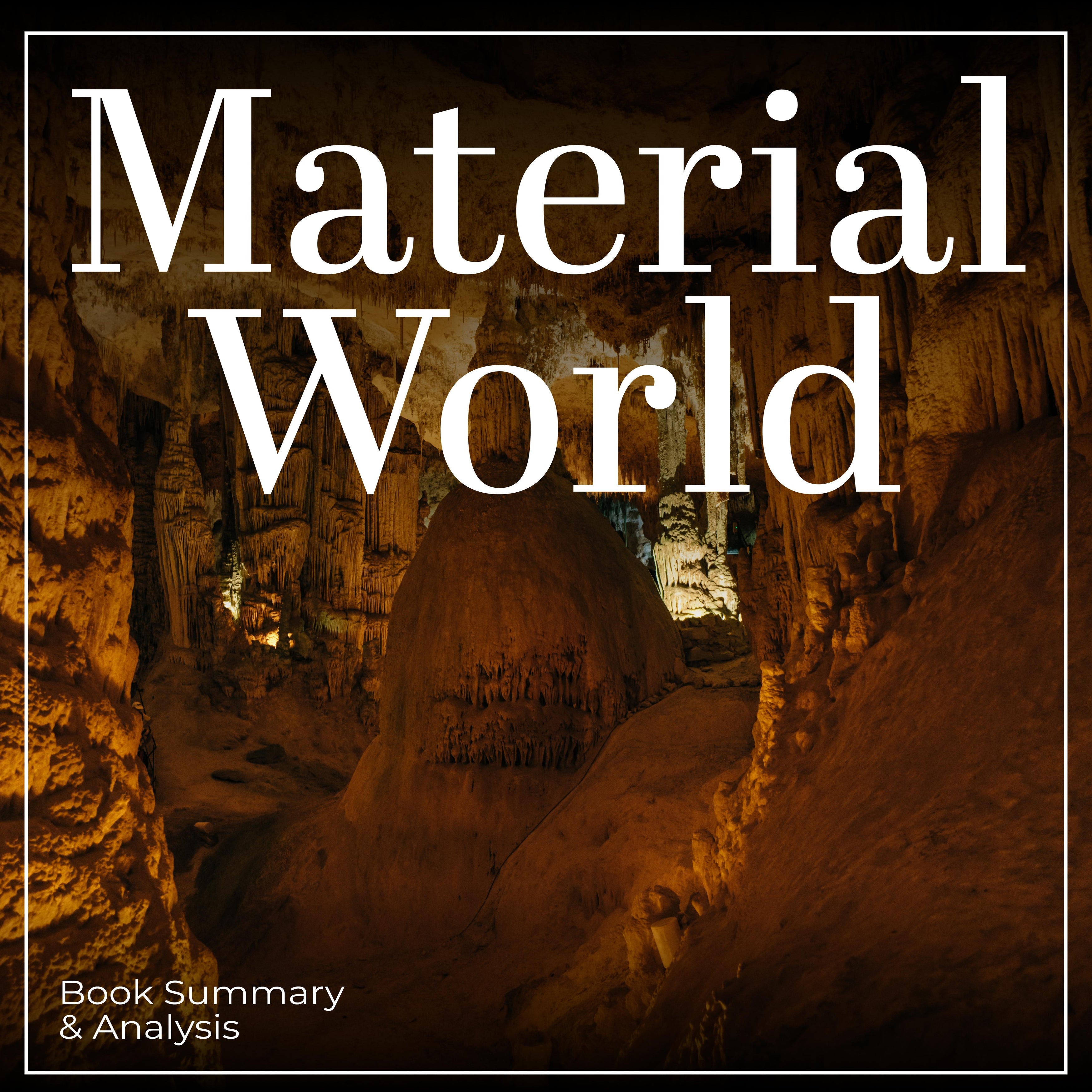 Material World: Book Summary & Analysis