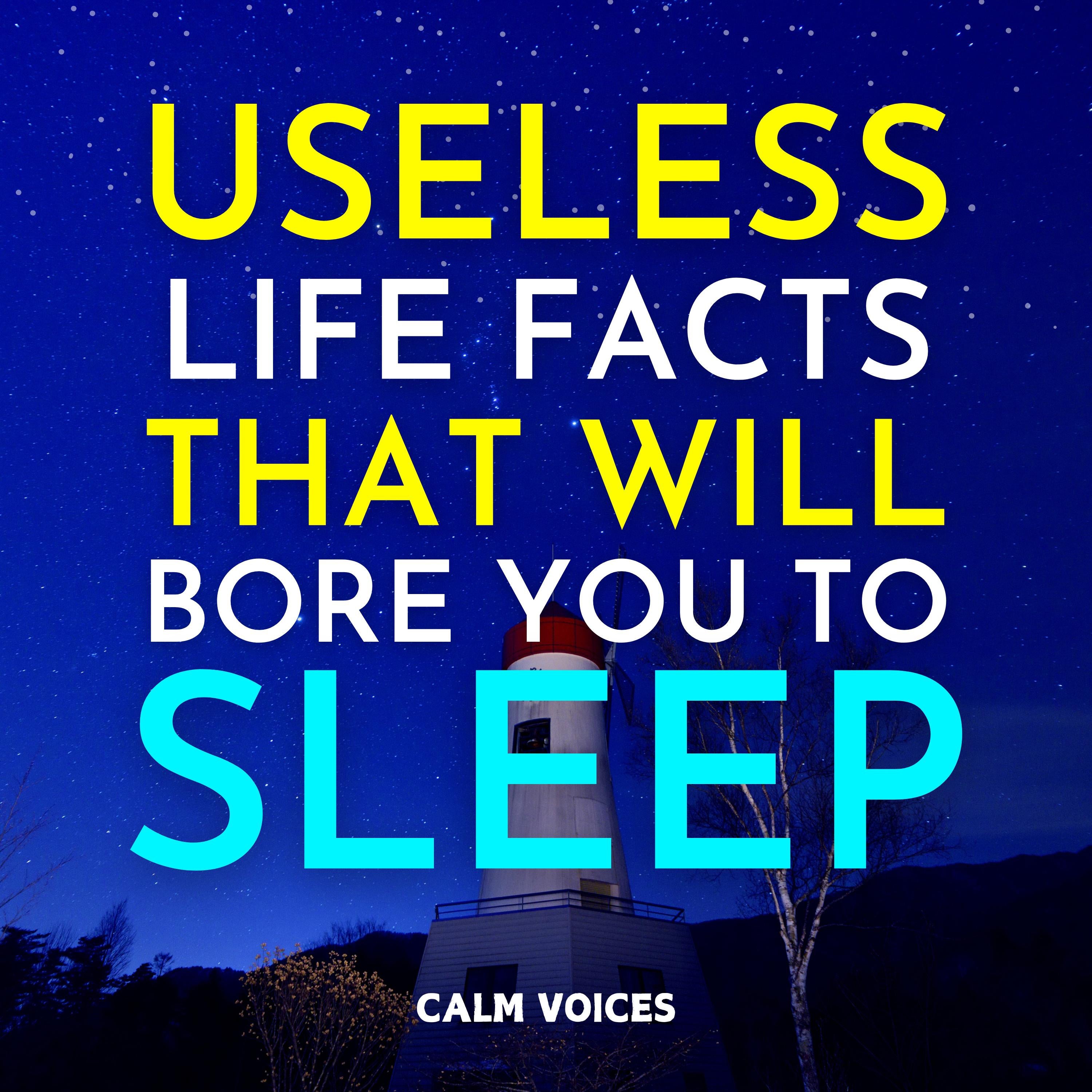 Useless Life Facts That Will Bore You To Sleep