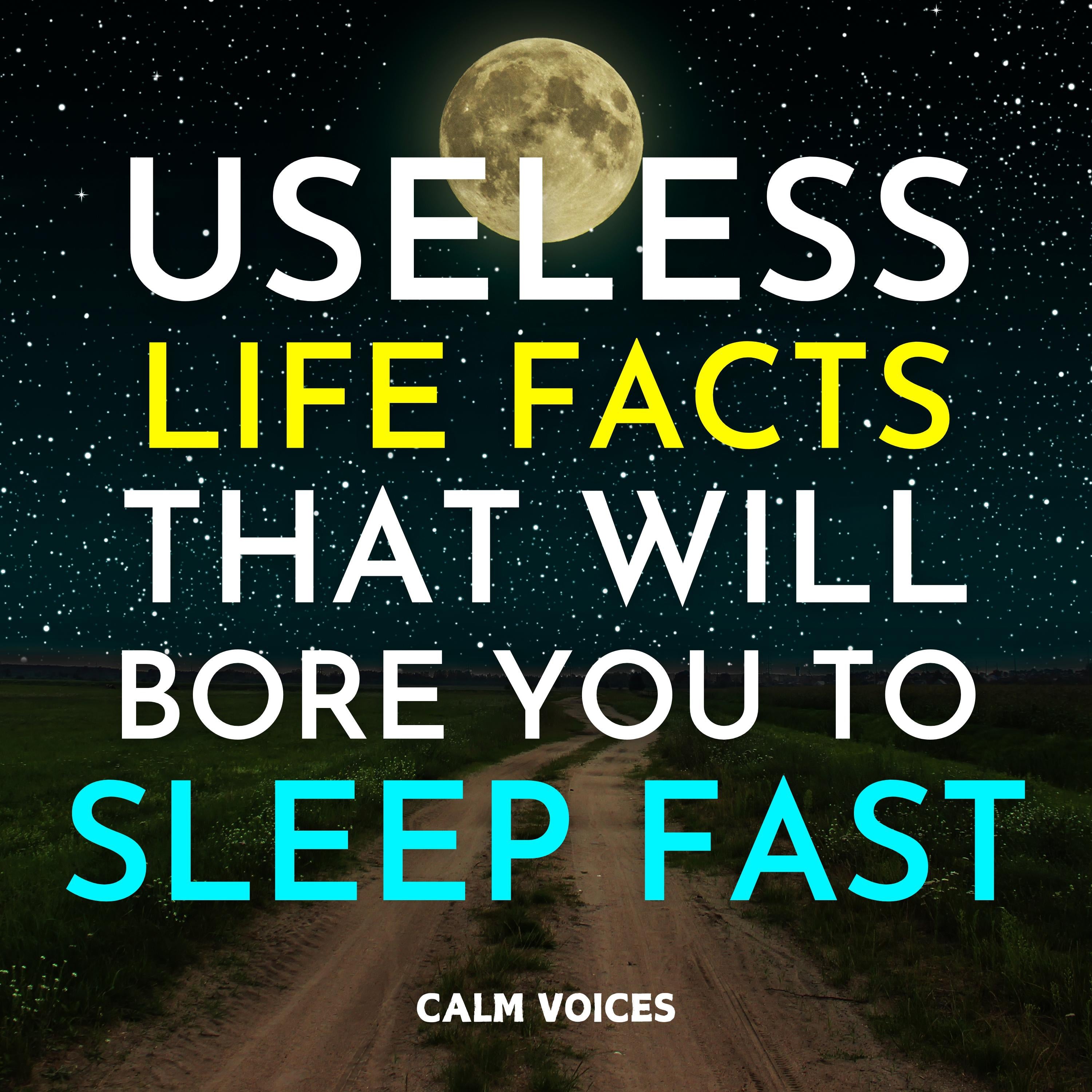 Useless Life Facts That Will Bore You To Sleep Fast