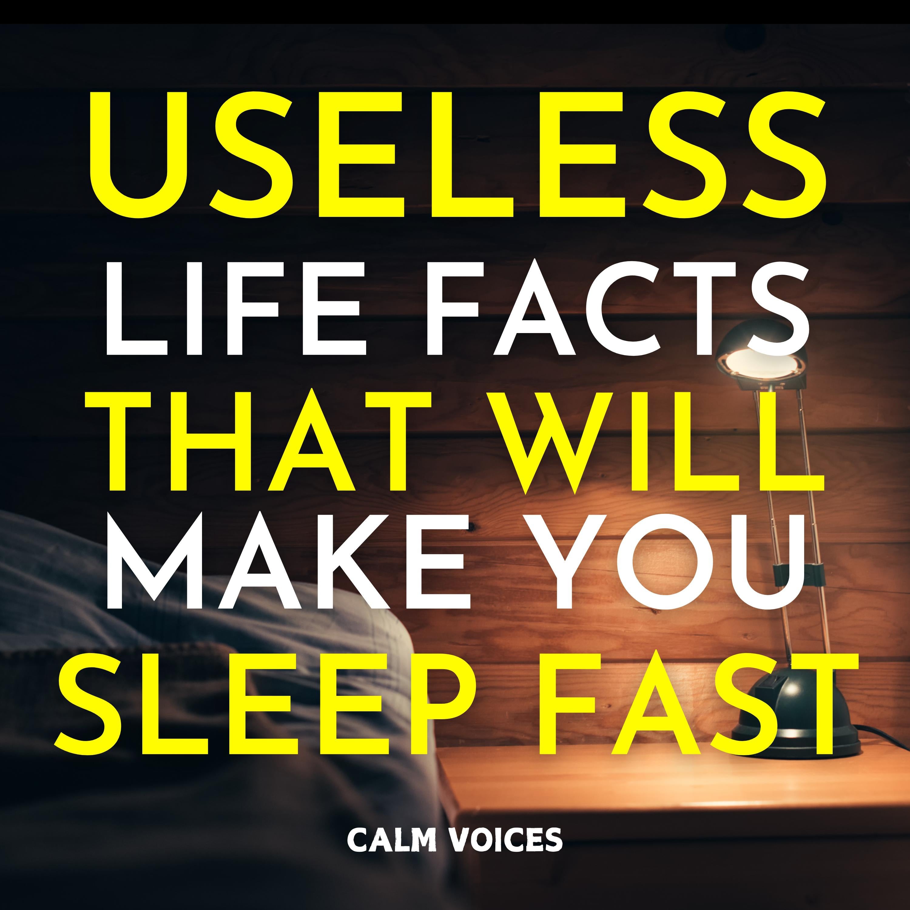 Useless Life Facts That Will Make You Sleep Fast