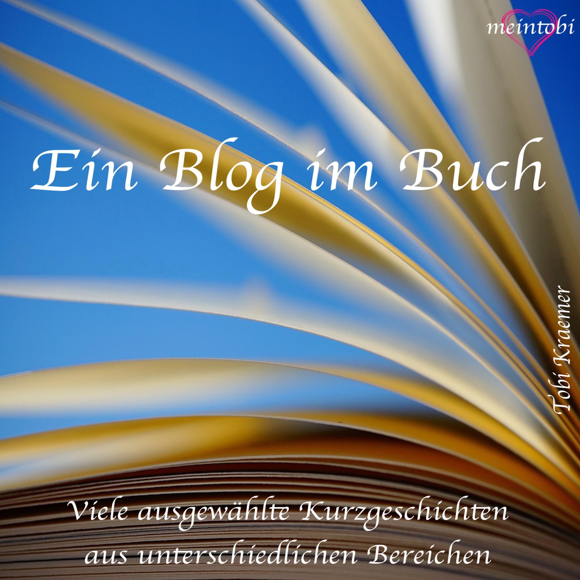 Ein Blog im Buch