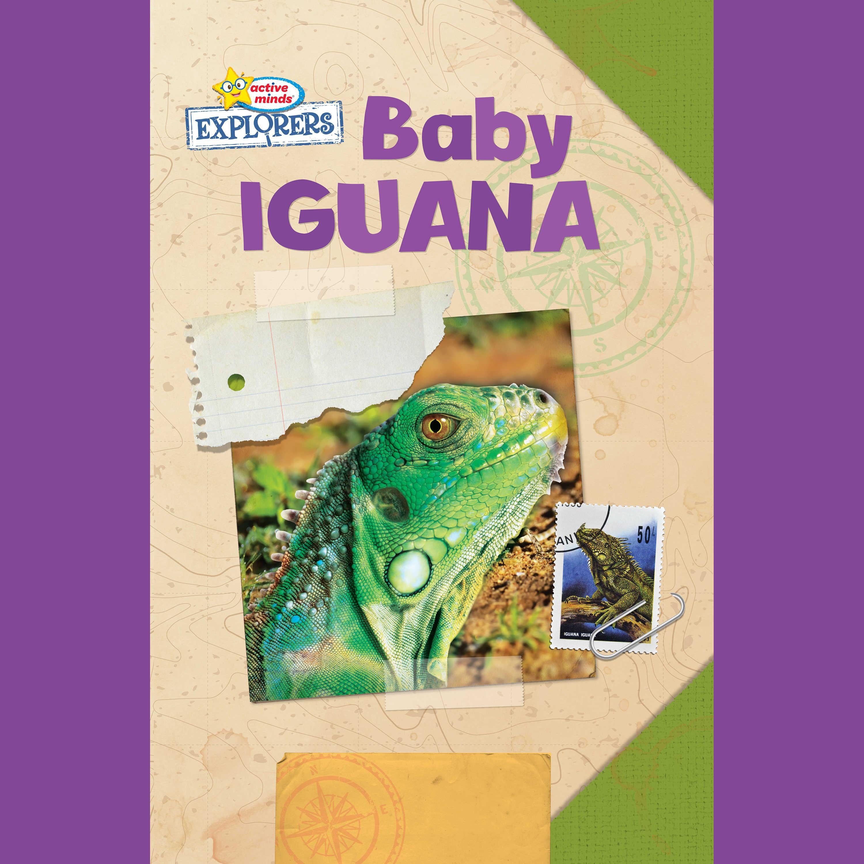 Active Minds Explorers: Baby Iguana
