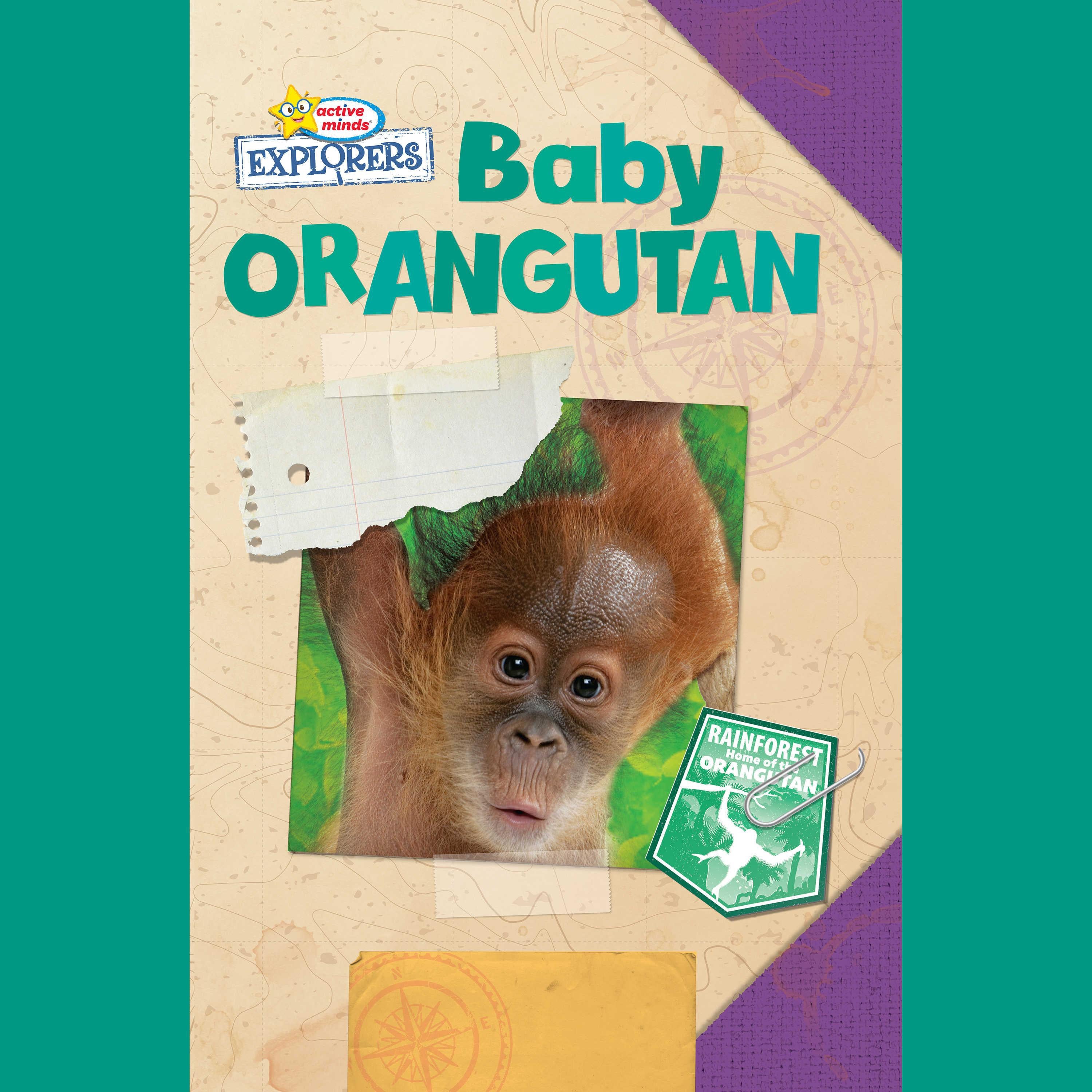 Active Minds Explorers: Baby Orangutan