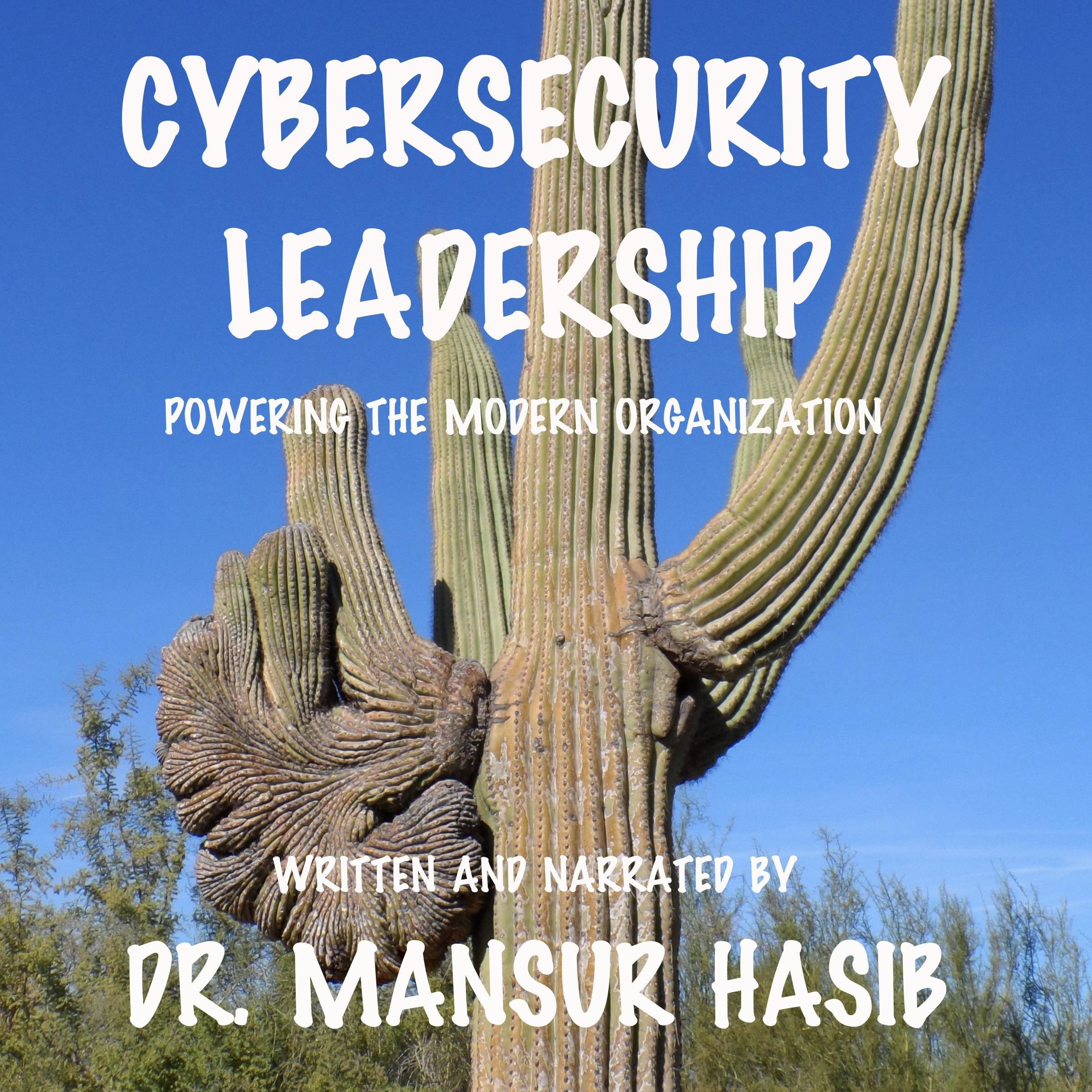 Cybersecurity Leadership