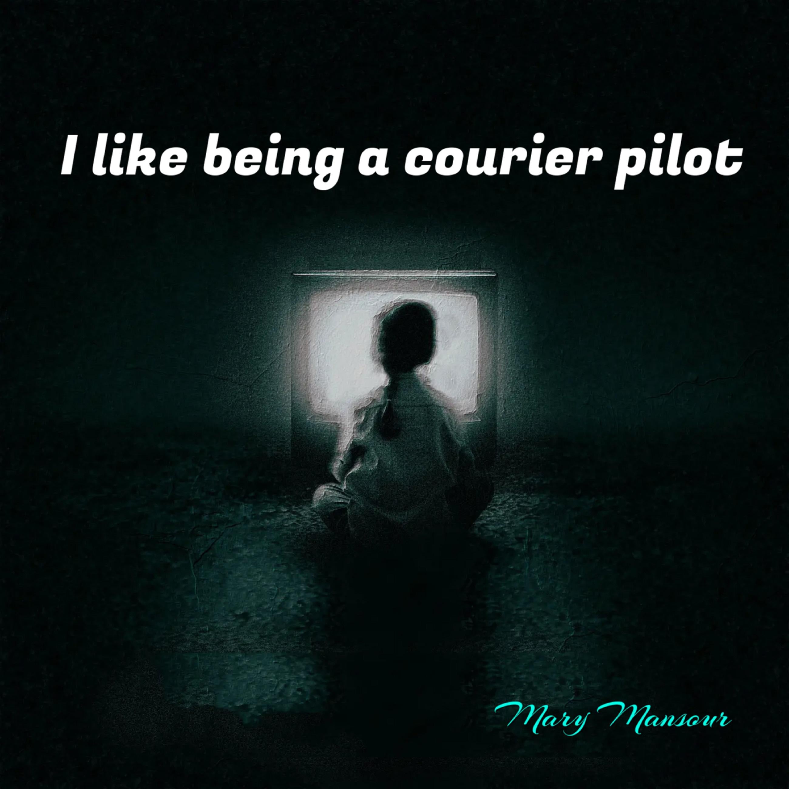 I like being a courier pilot