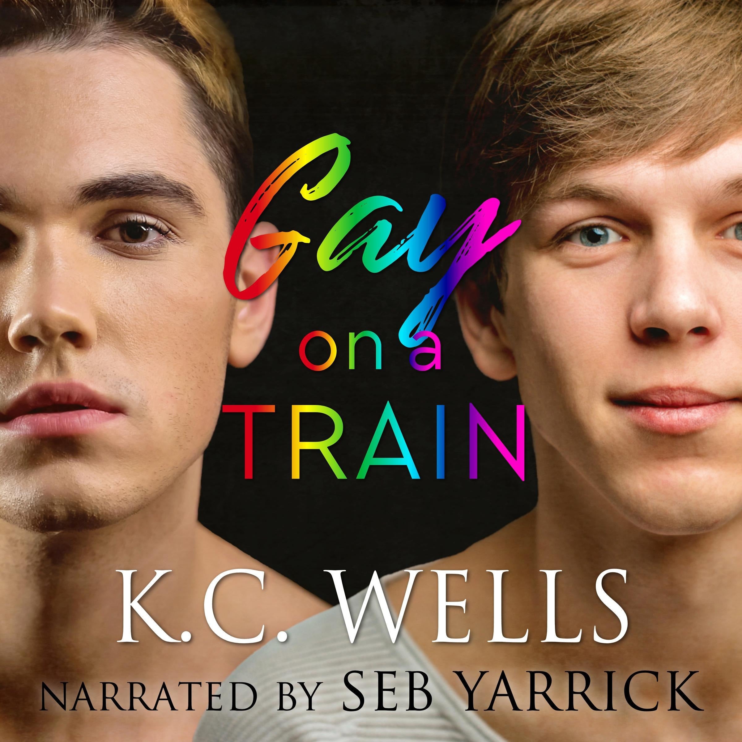 Gay on a Train