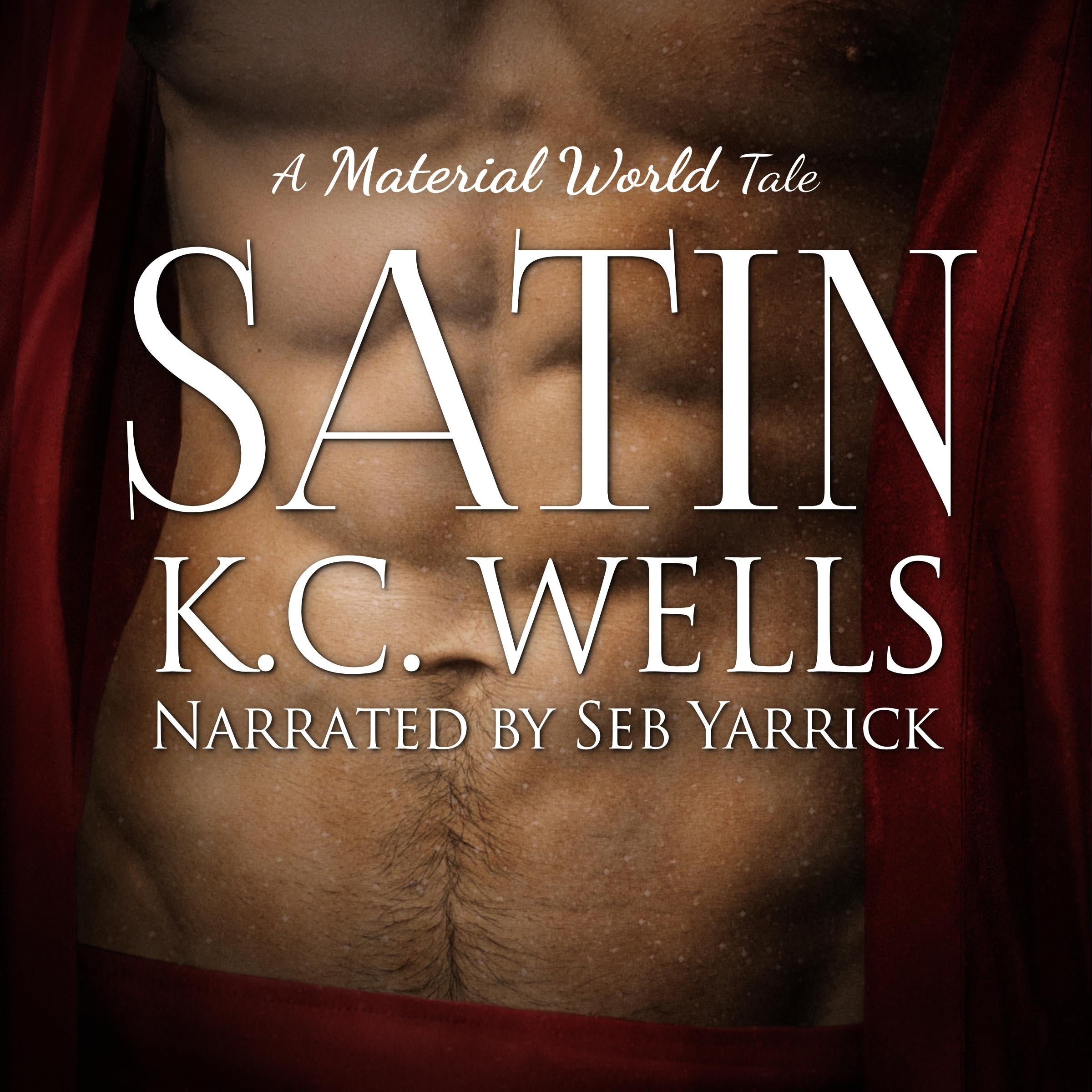 Satin (A Material World Book 2)