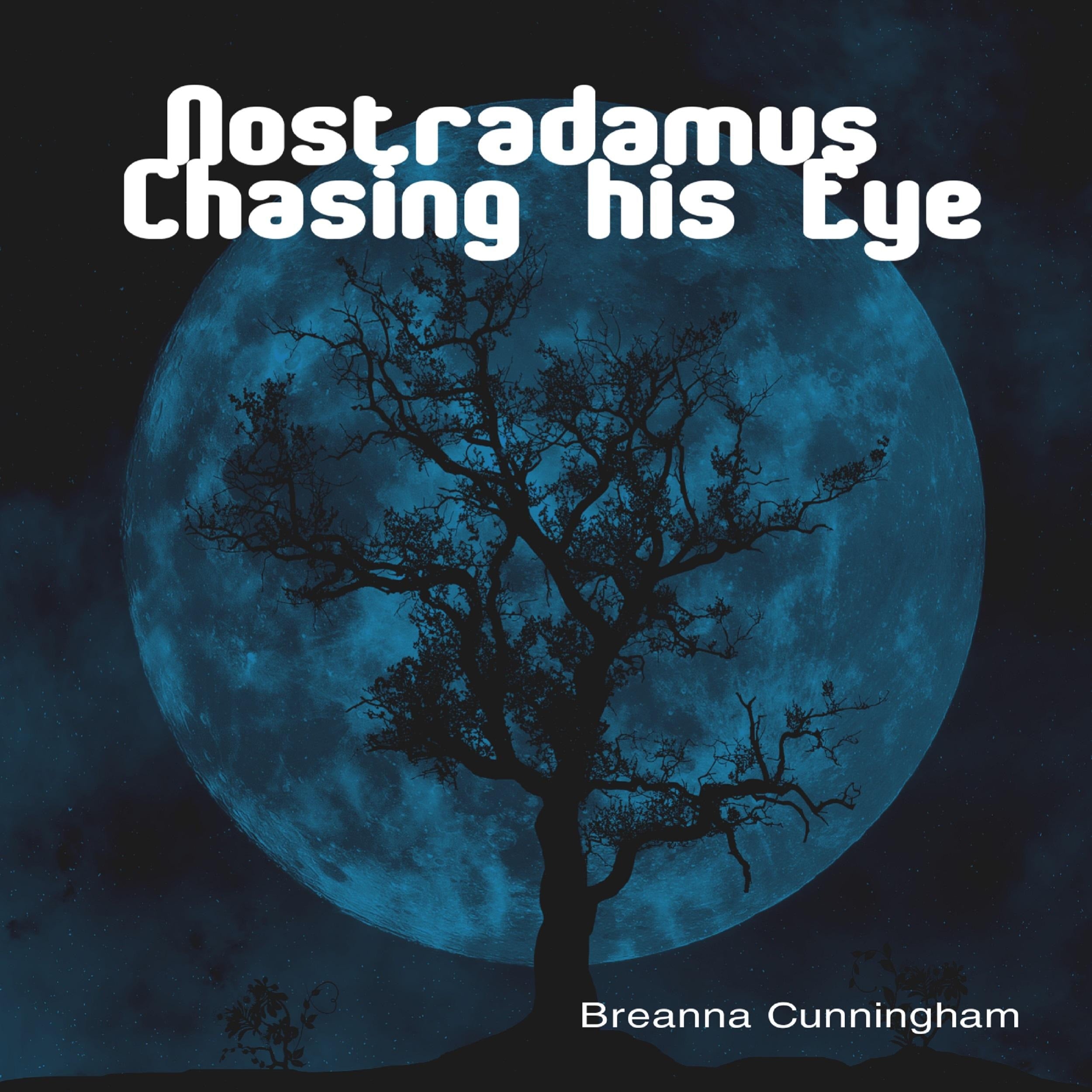 Nostradamus Chasing his Eye