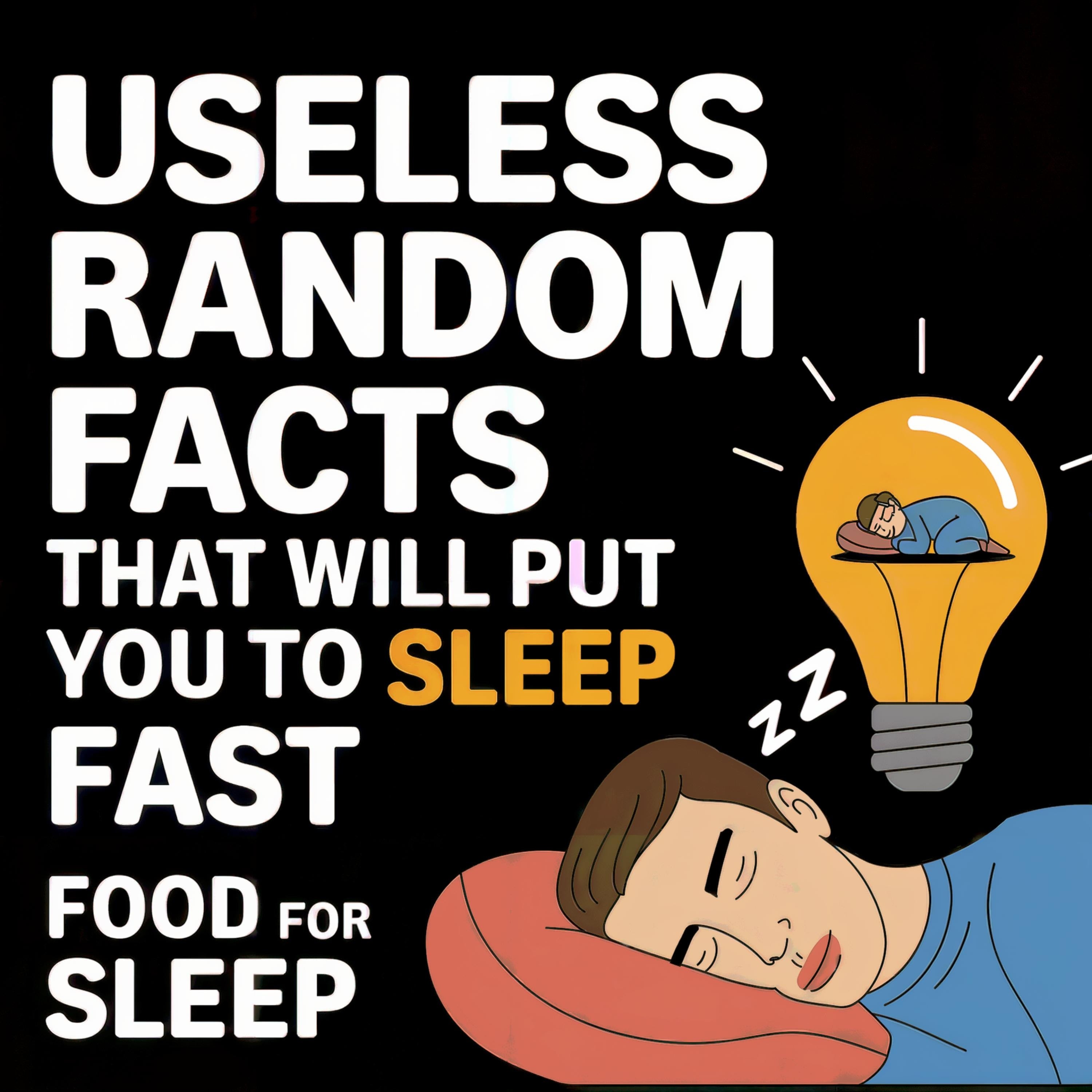 Useless Random Facts That Will Put You to Sleep Fast