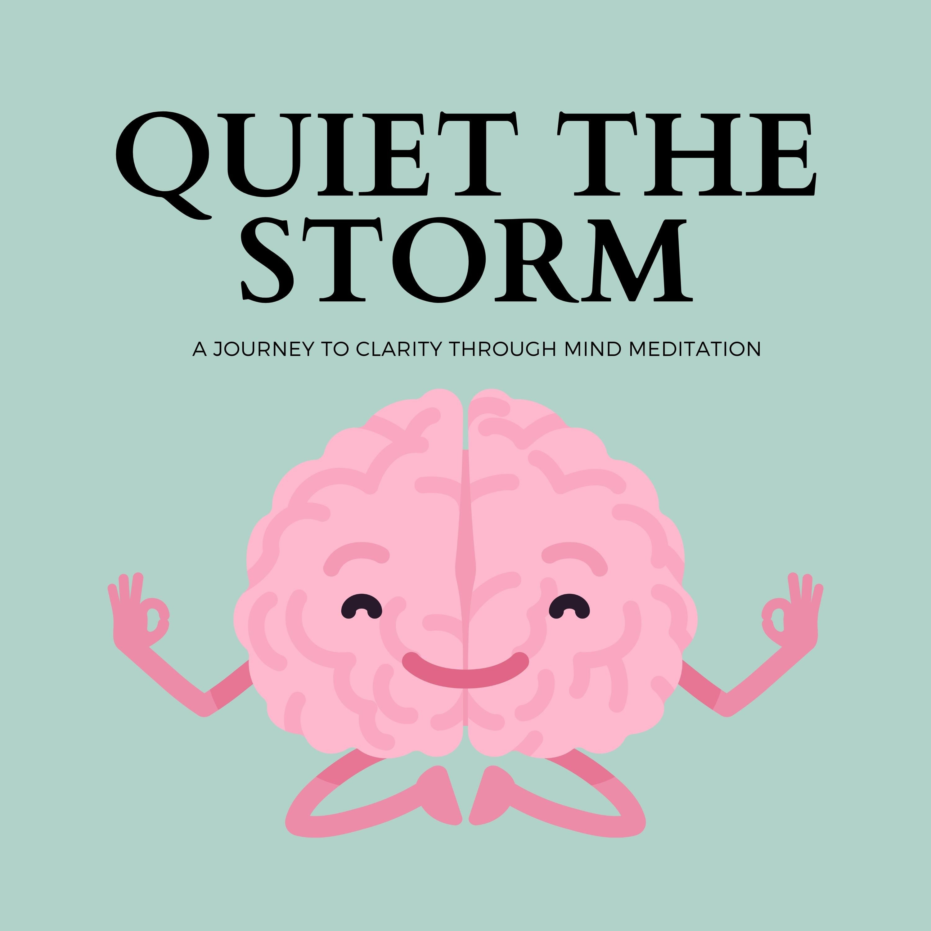Quiet the Storm: A Journey to Clarity through Mind Meditation