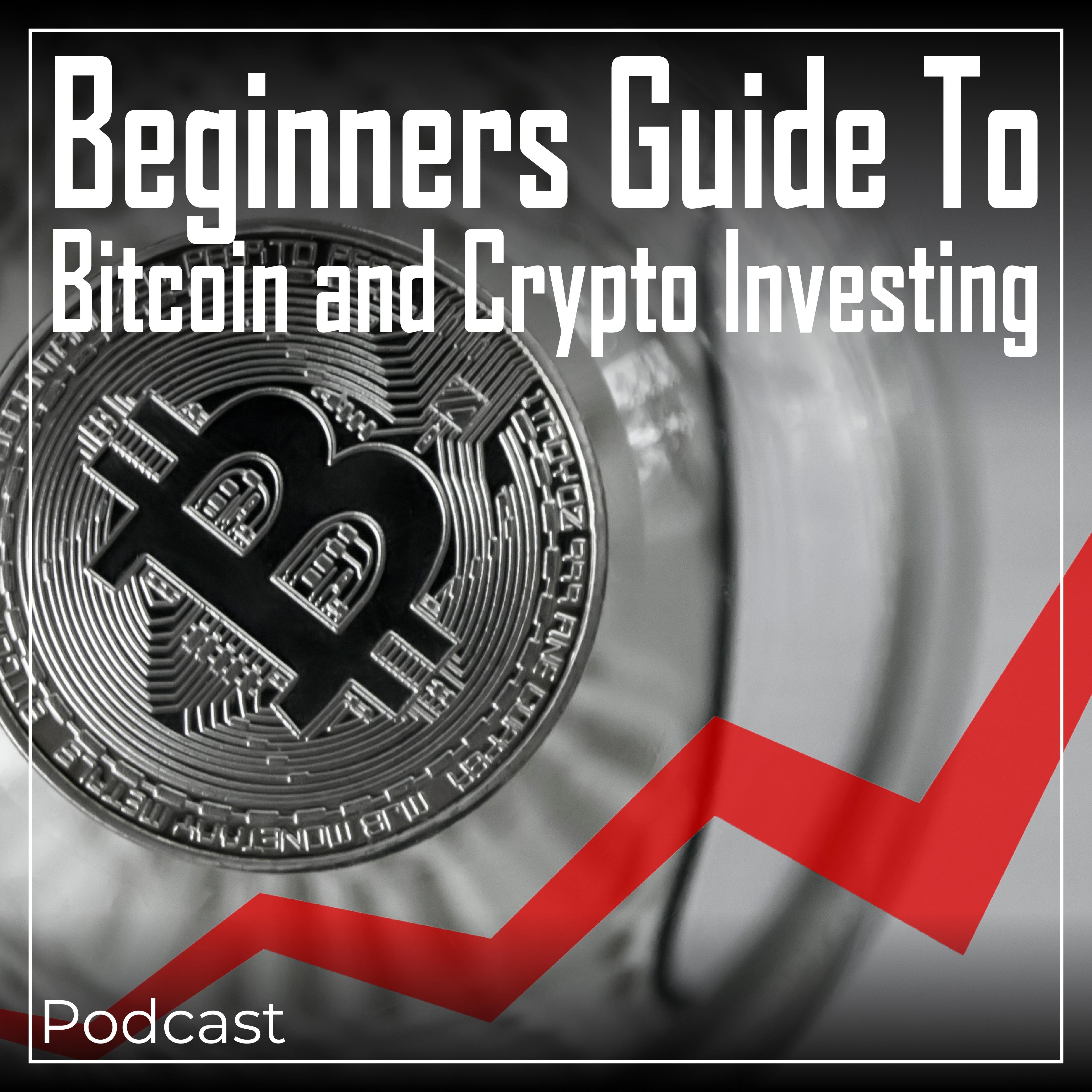 Beginners Guide To Bitcoin and Crypto Investing
