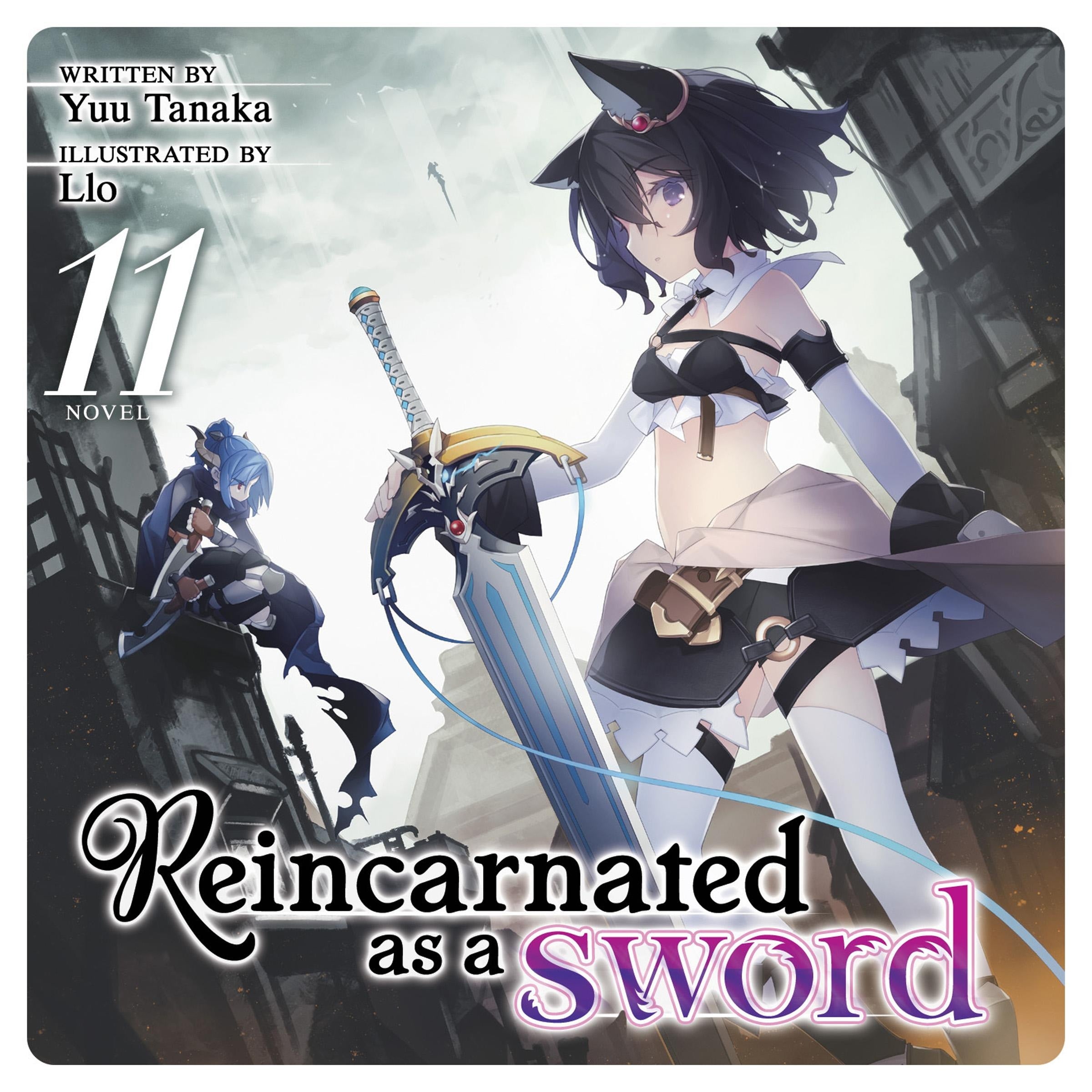 Reincarnated as a Sword (Light Novel) Vol. 11