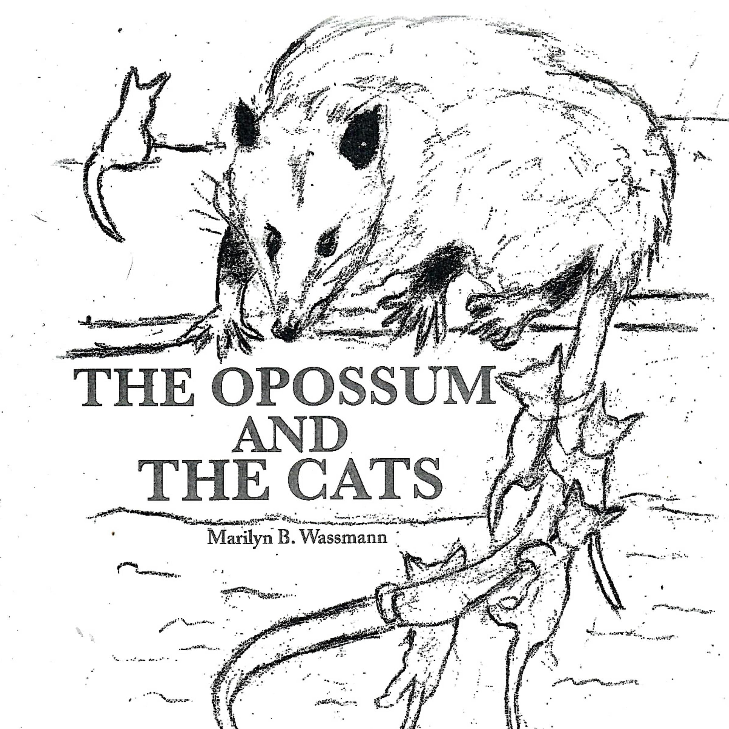 The Opossum and the Cats