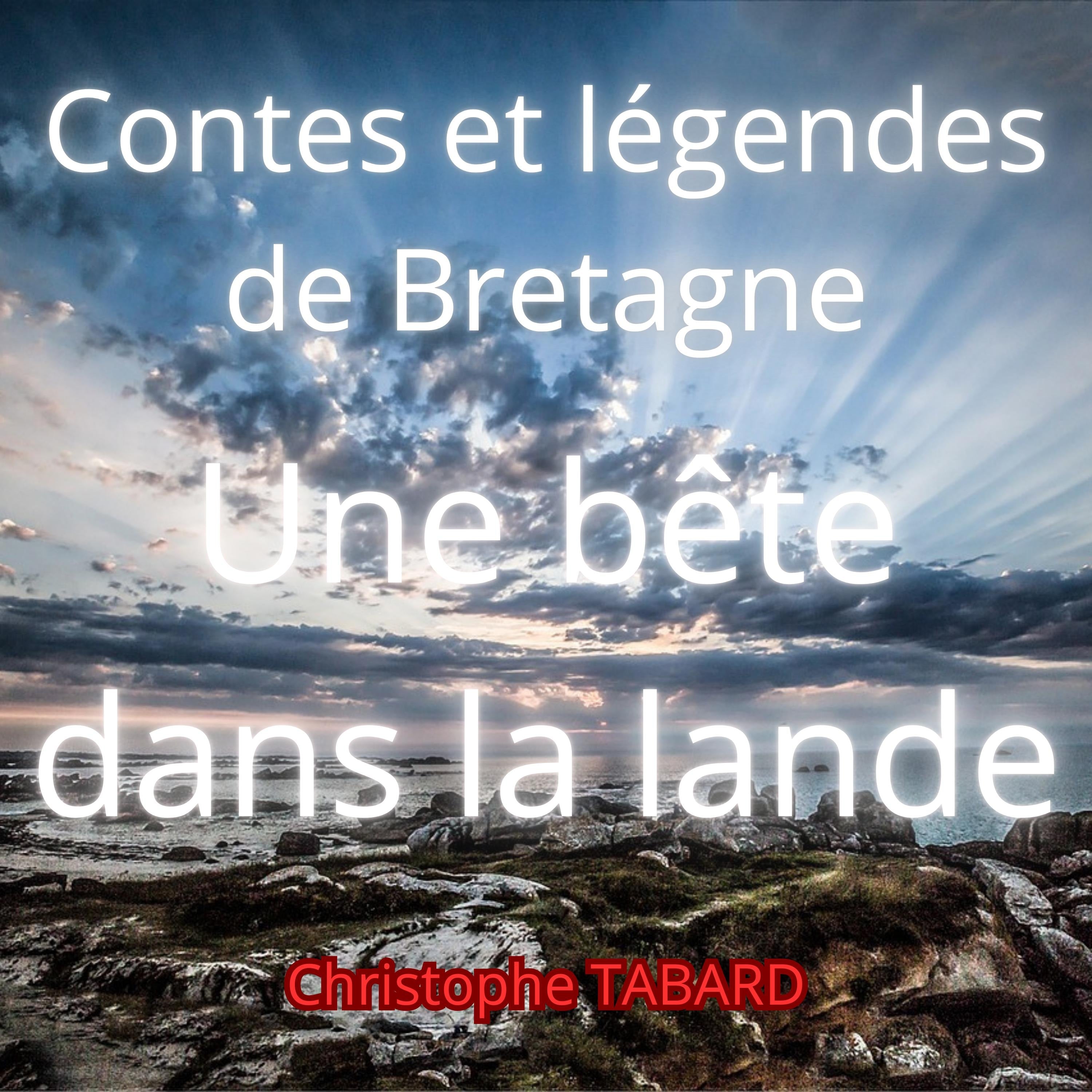 Une bête dans la lande