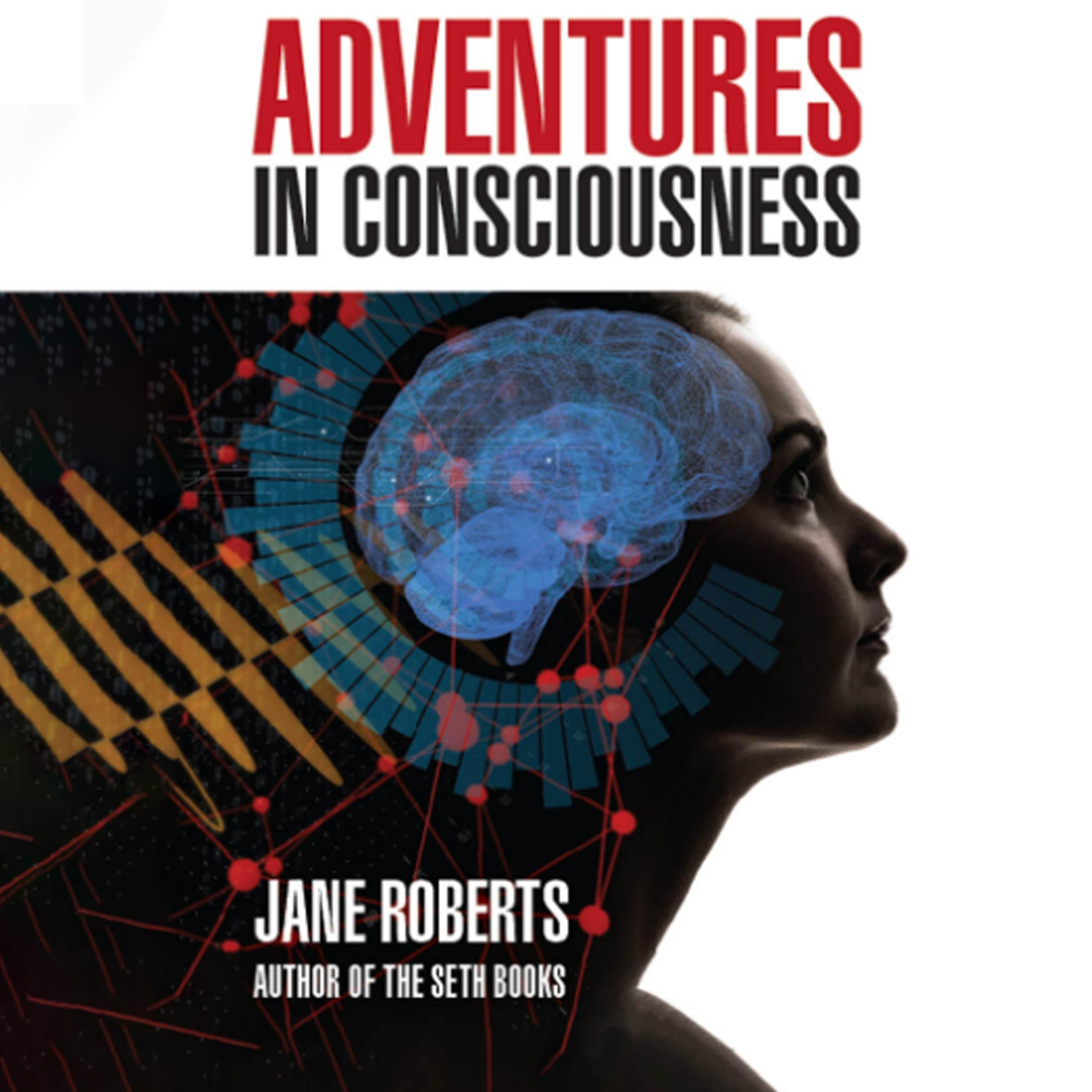 ADVENTURES IN CONSCIOUSNESS