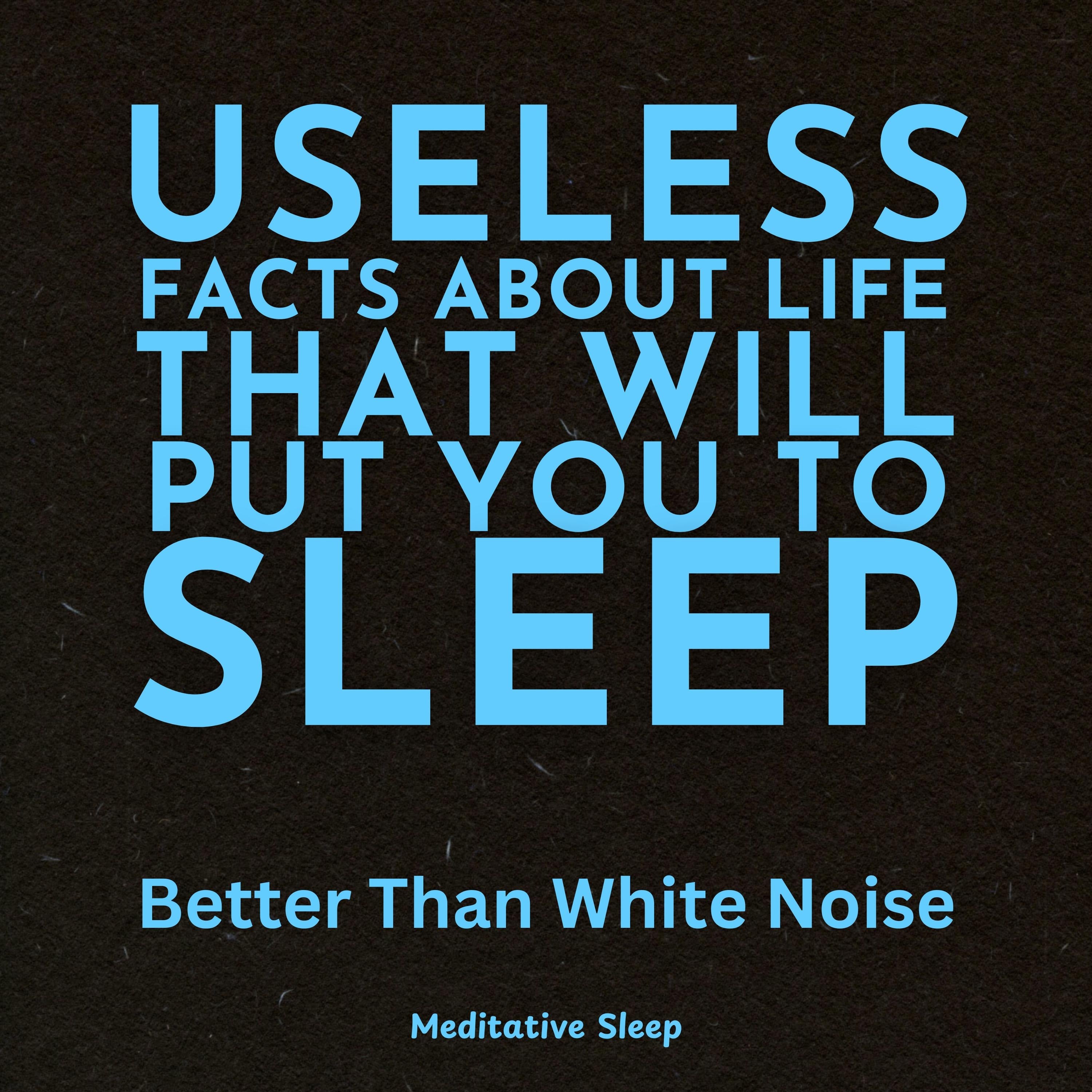 Useless Facts About Life That Will Put You to Sleep