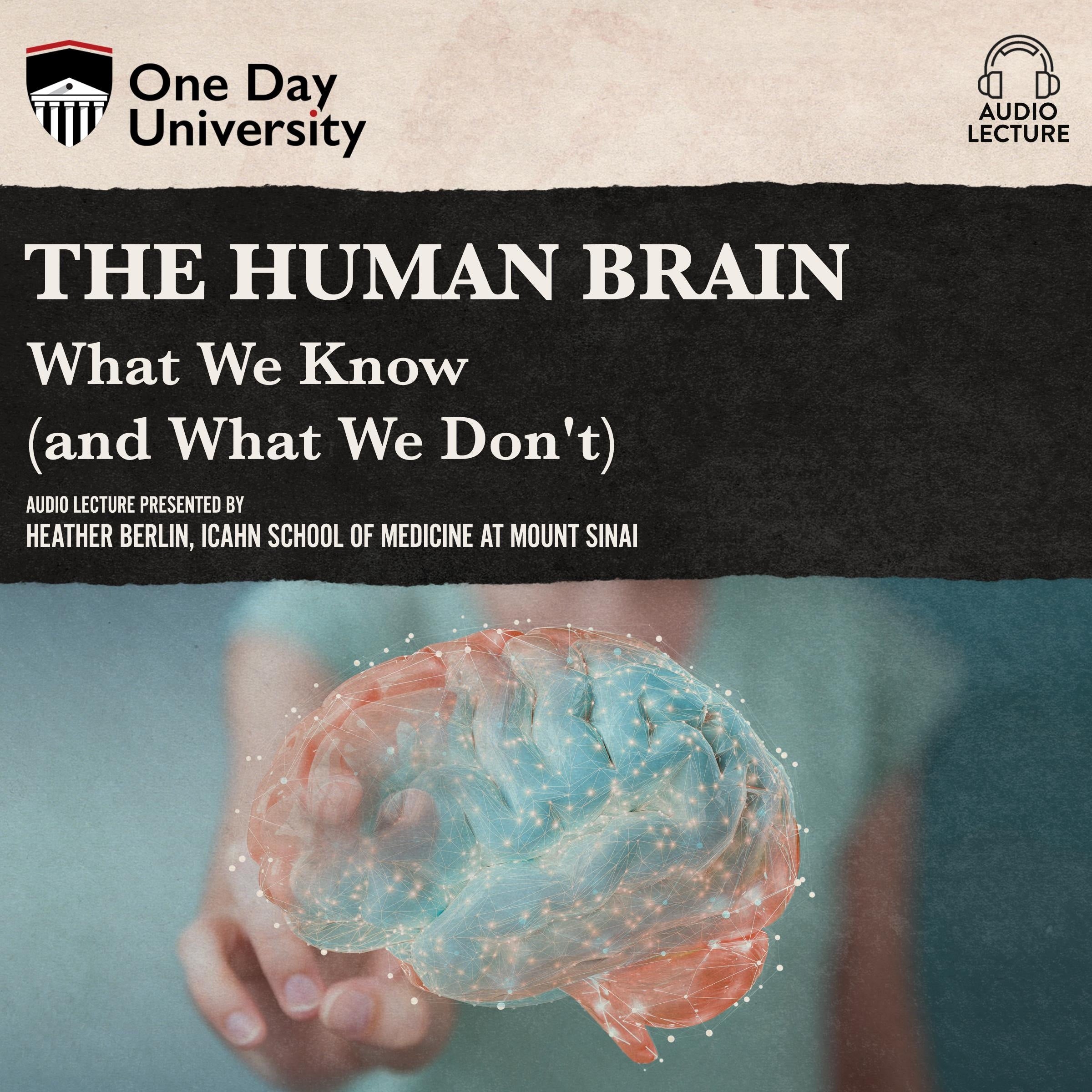 The Human Brain