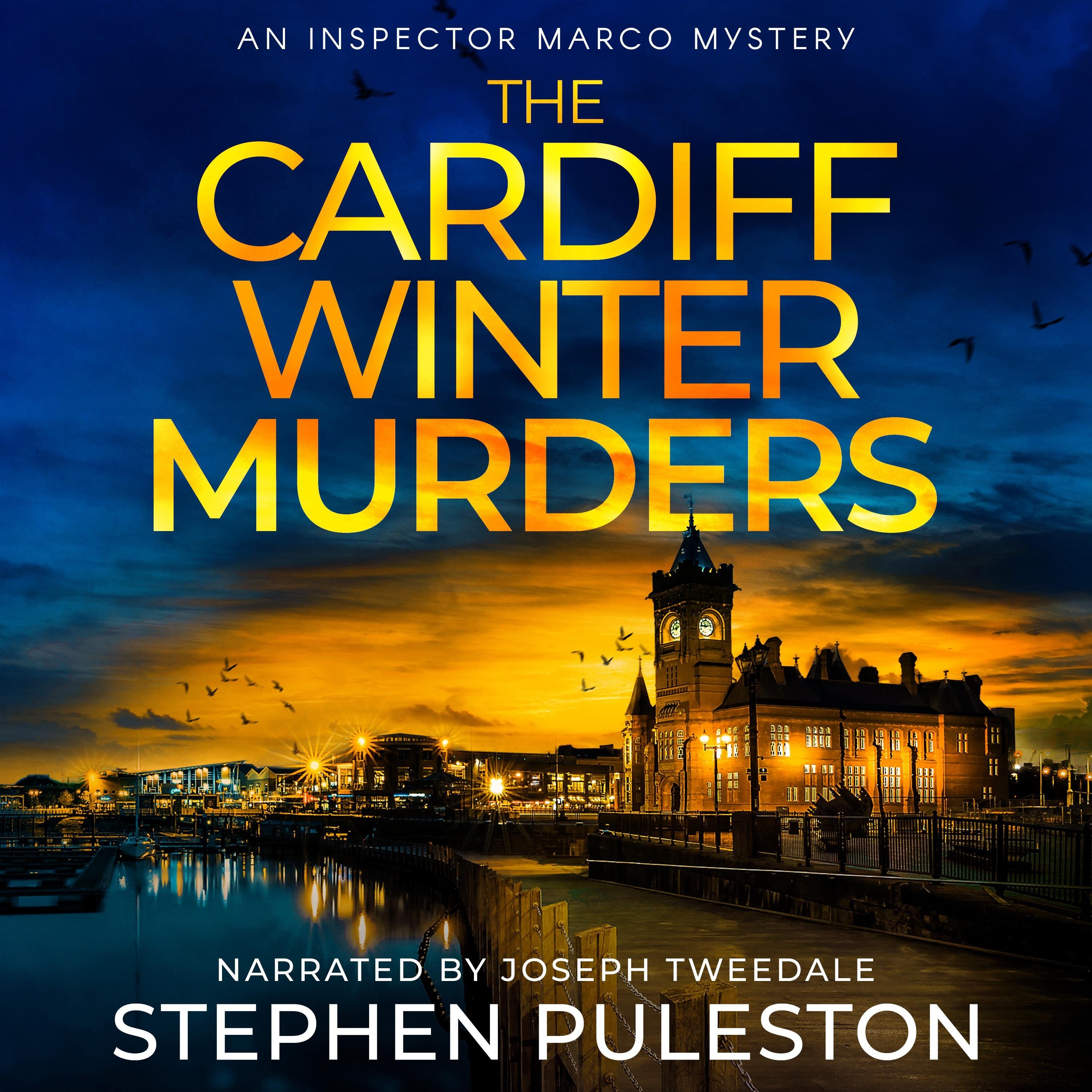 The Cardiff Winter Murders