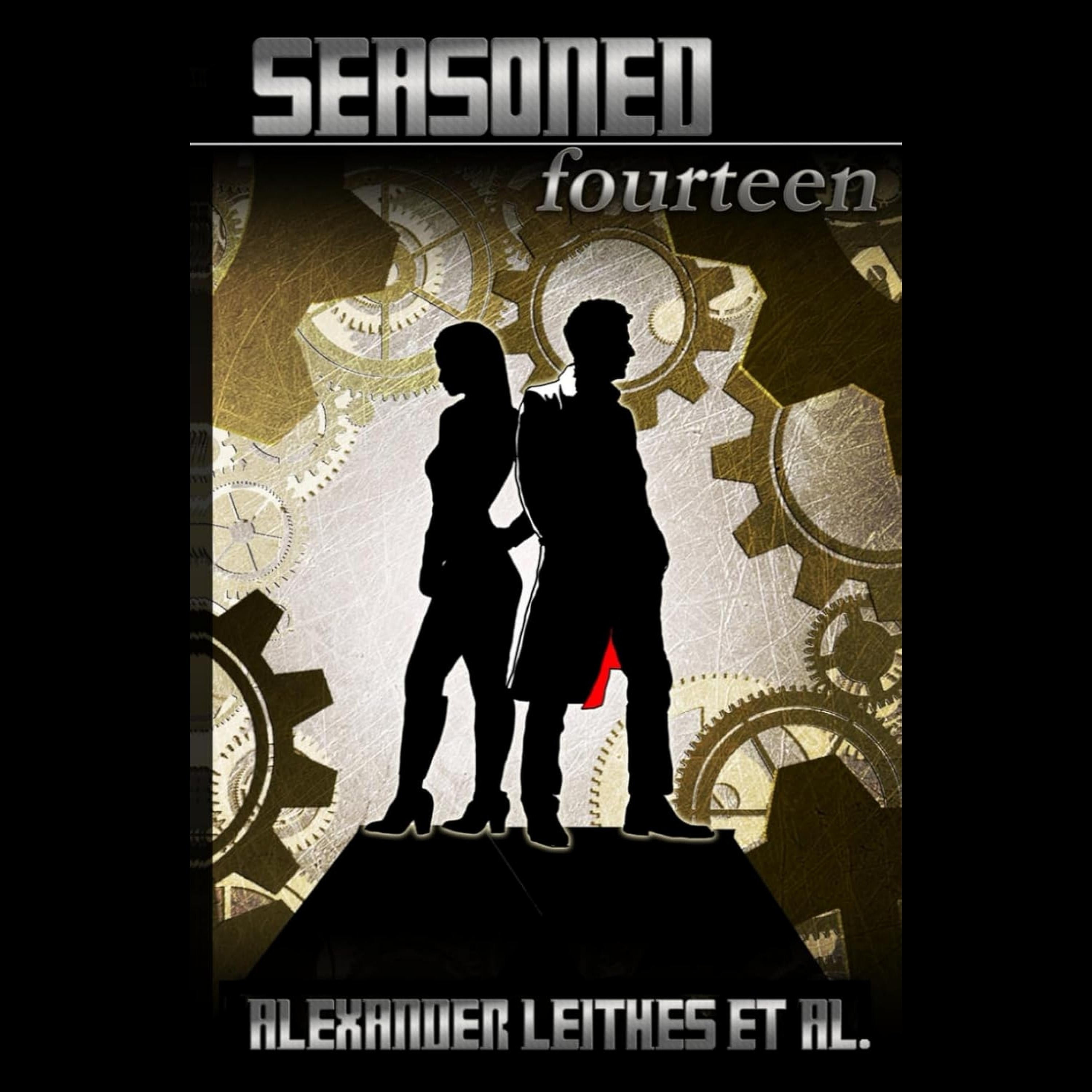 The Doctor - Seasoned Fourteen