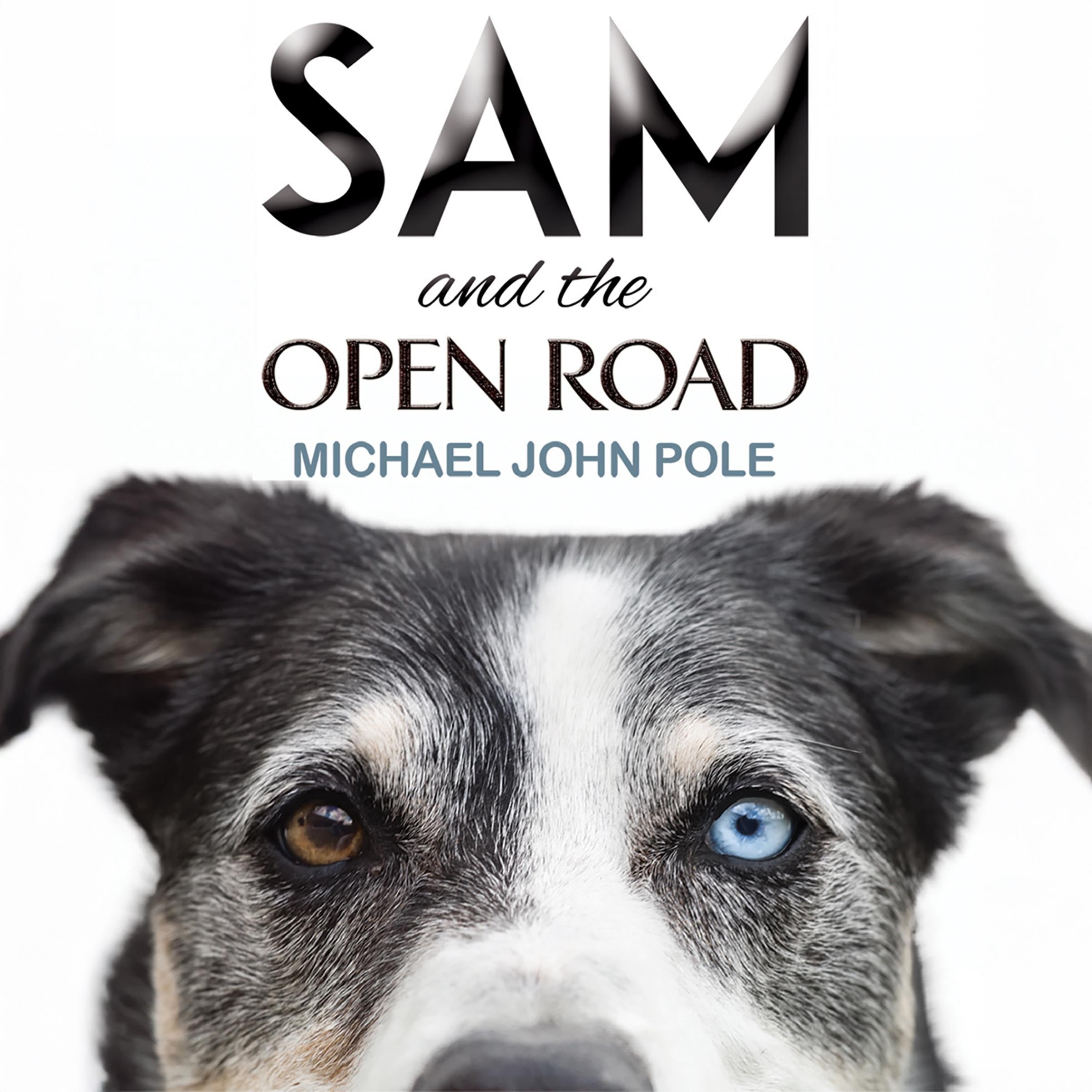 Sam and the Open Road