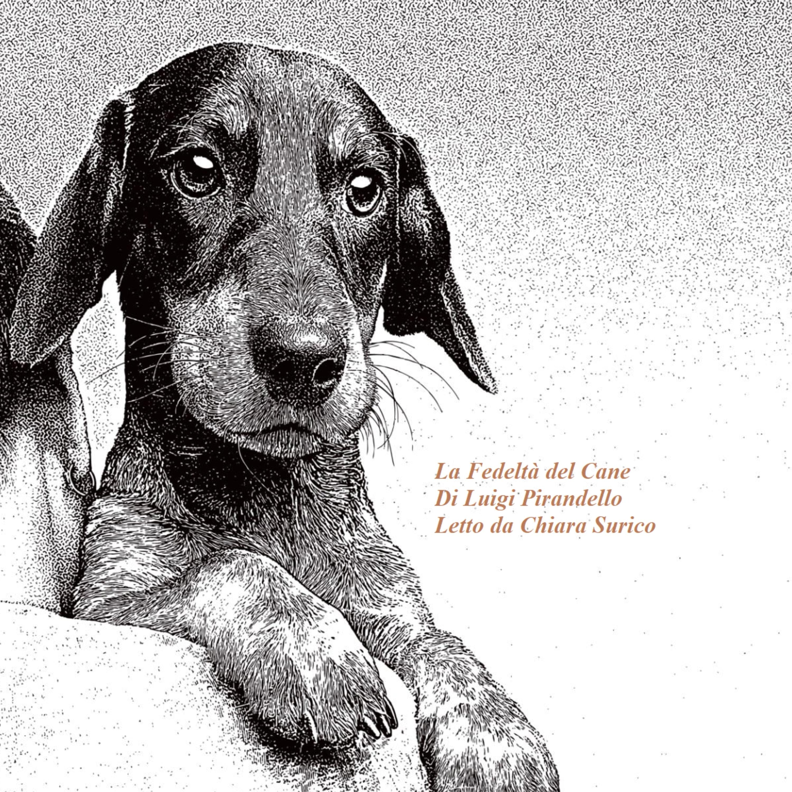 La Fedeltà del Cane