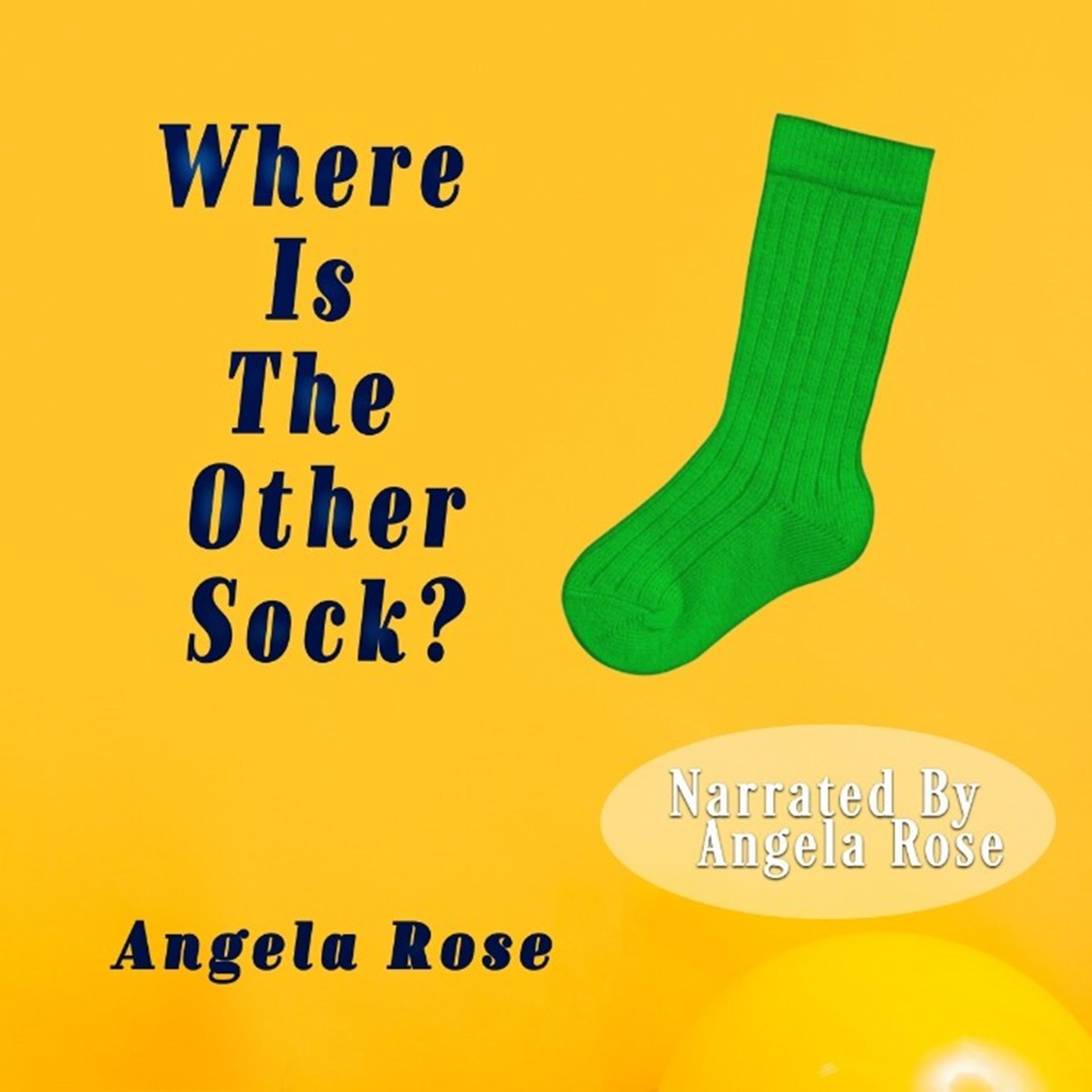 Where is The Other Sock?