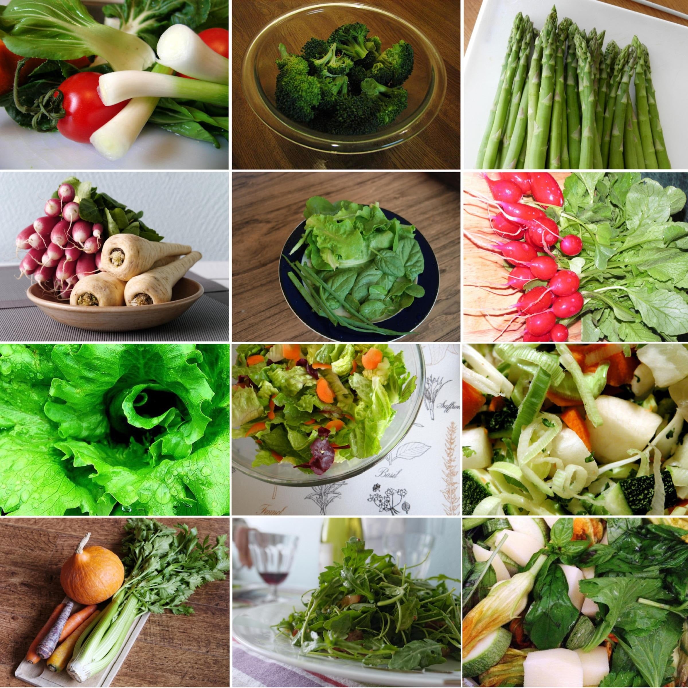 Guia das hortaliças