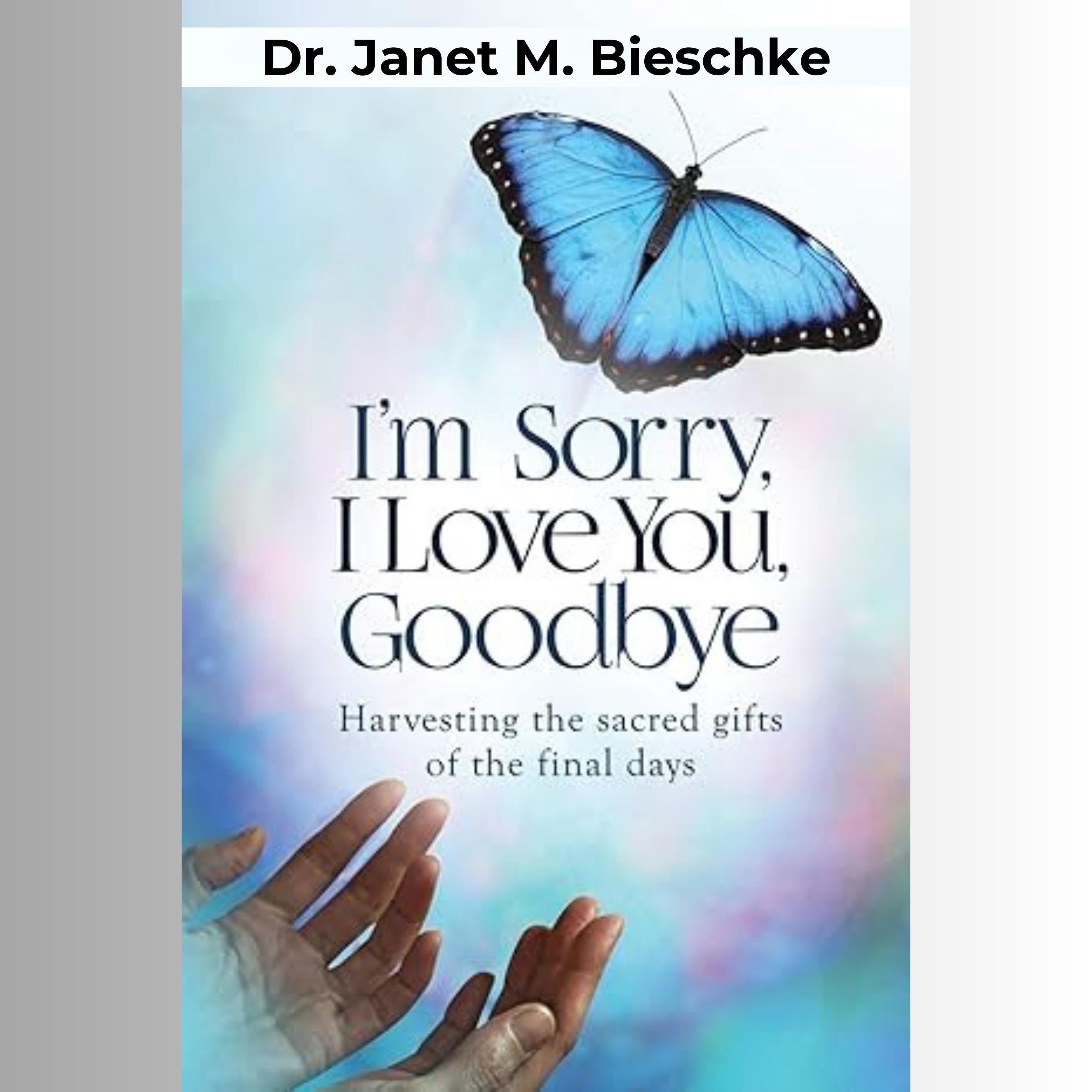 I'm Sorry, I Love You, Goodbye