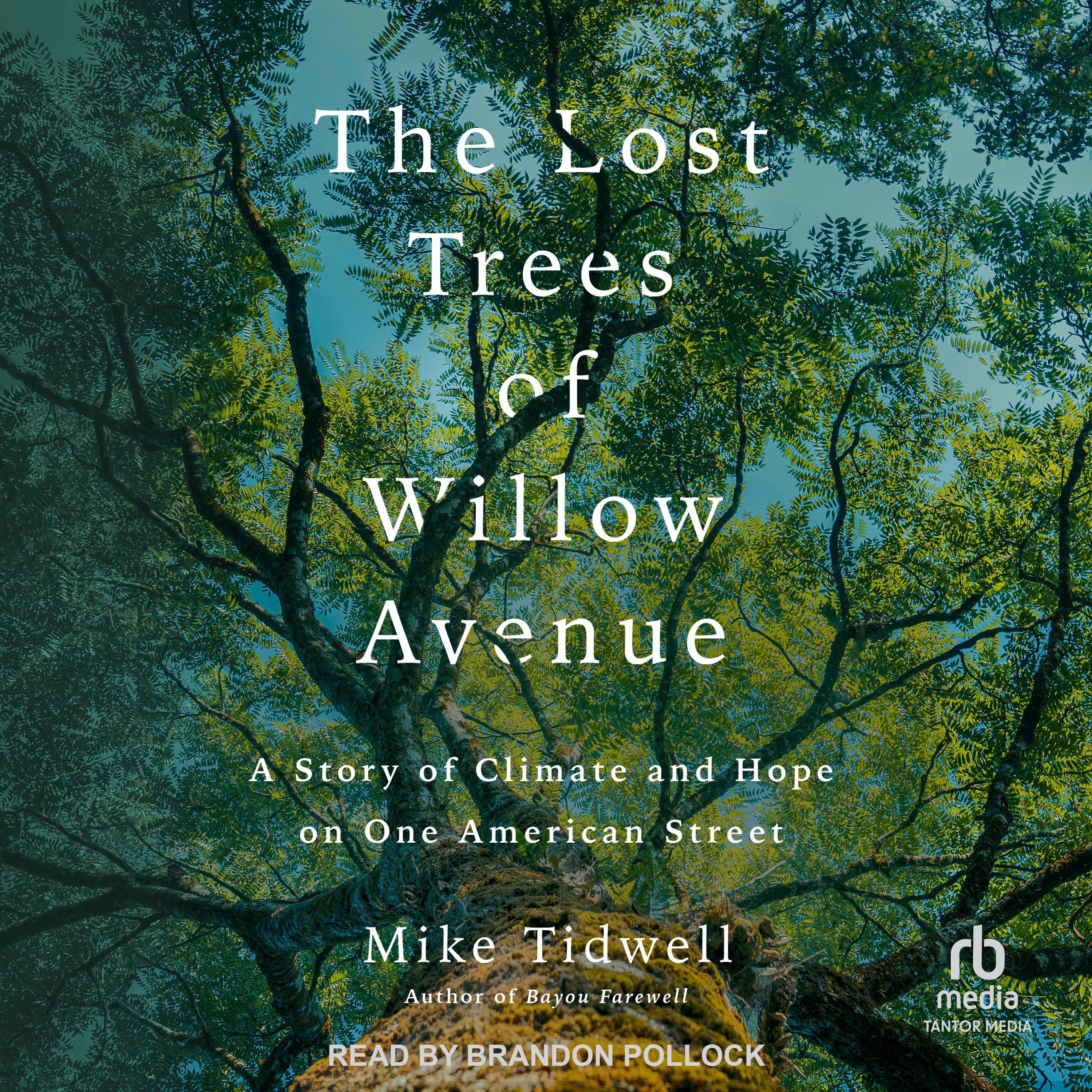 The Lost Trees of Willow Avenue