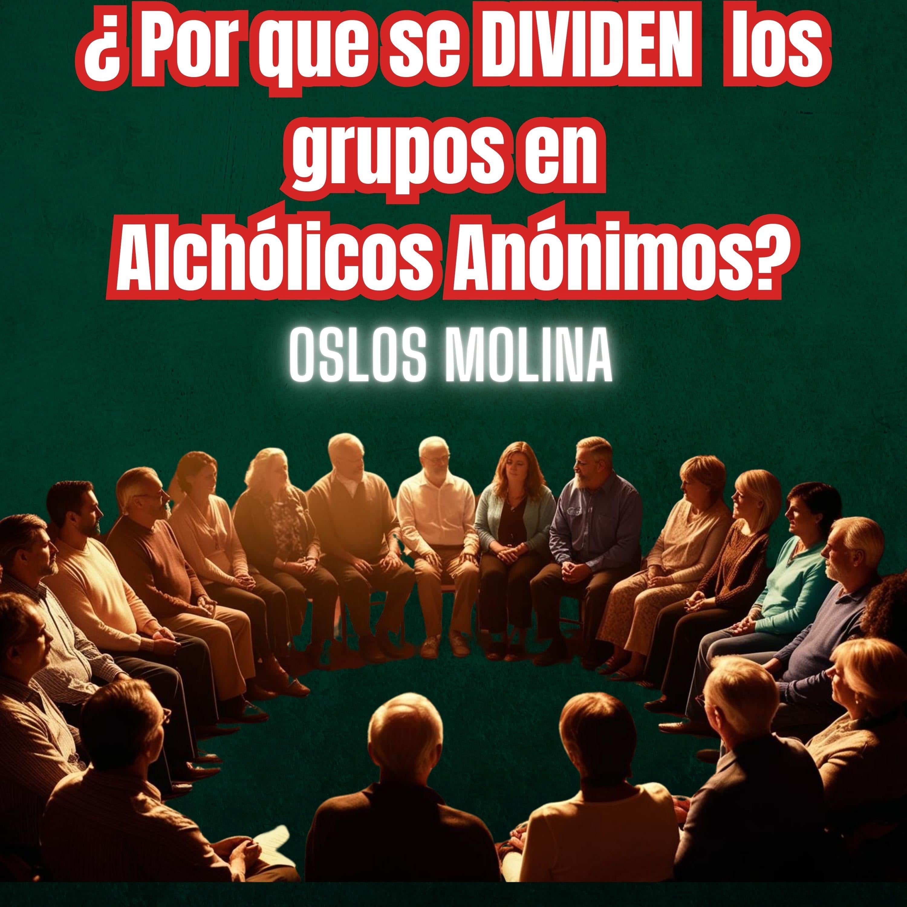 ¿Por que se dividen los grupos en Alcohólicos Anónimos?