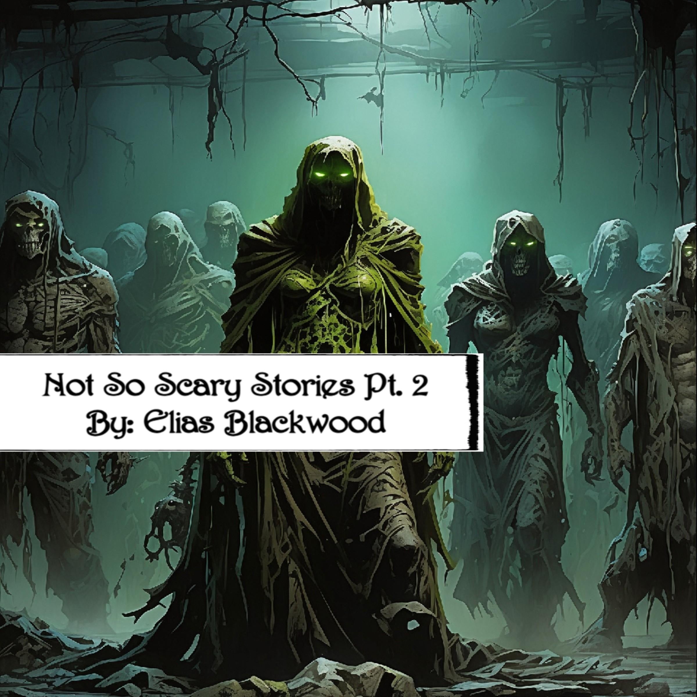 Not So Scary Stories Pt. 2