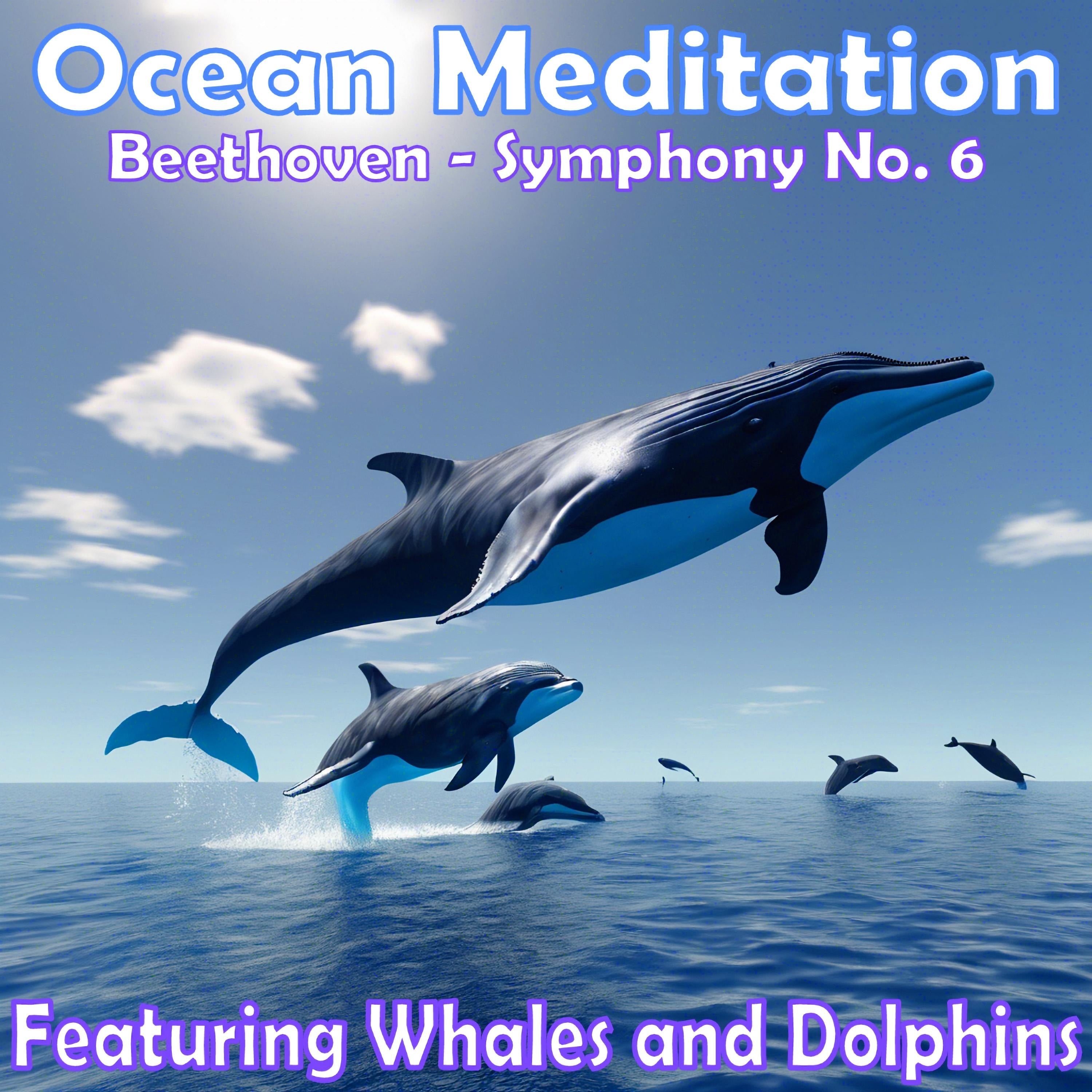 Ocean Meditation - Beethoven Symphony No. 6