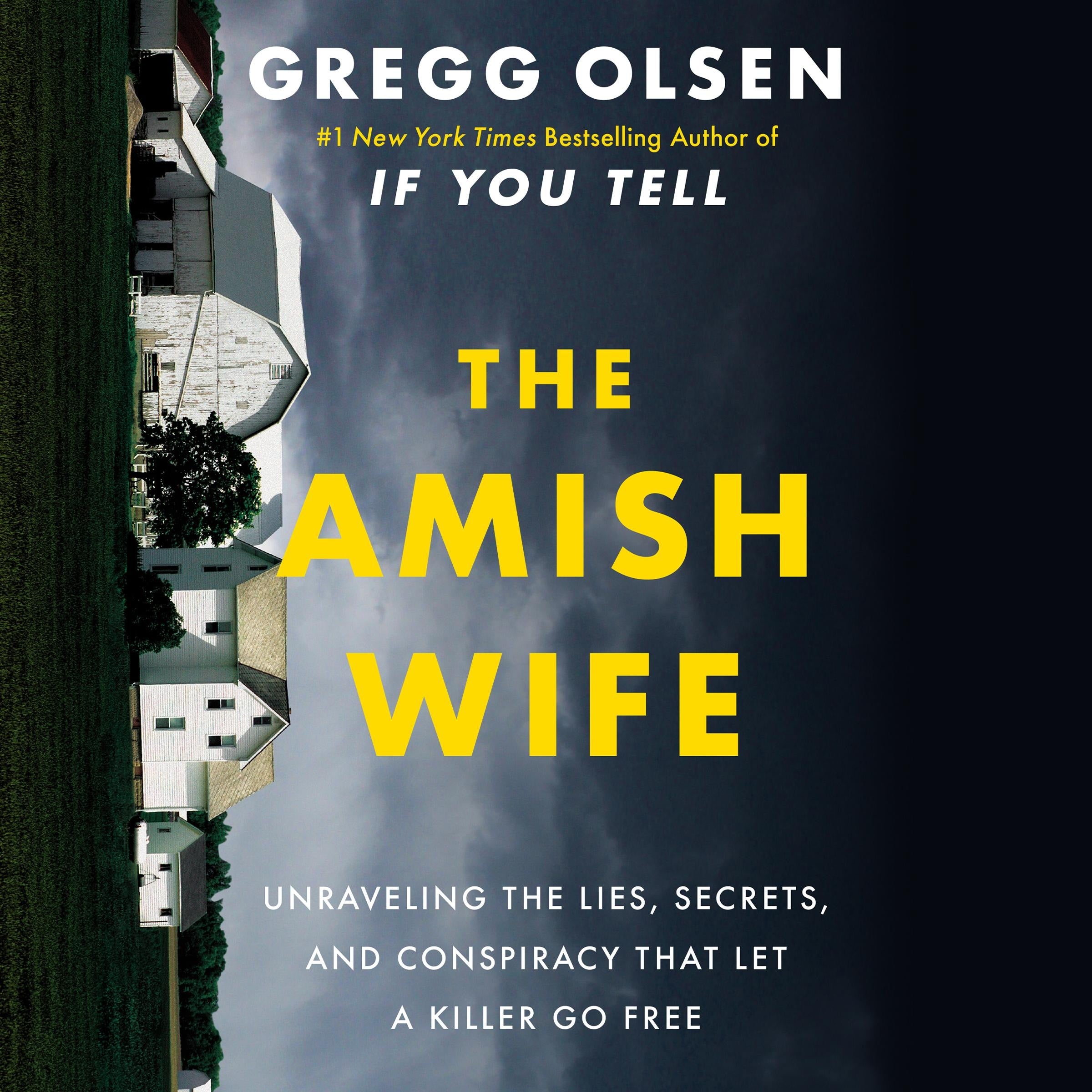 The Amish Wife