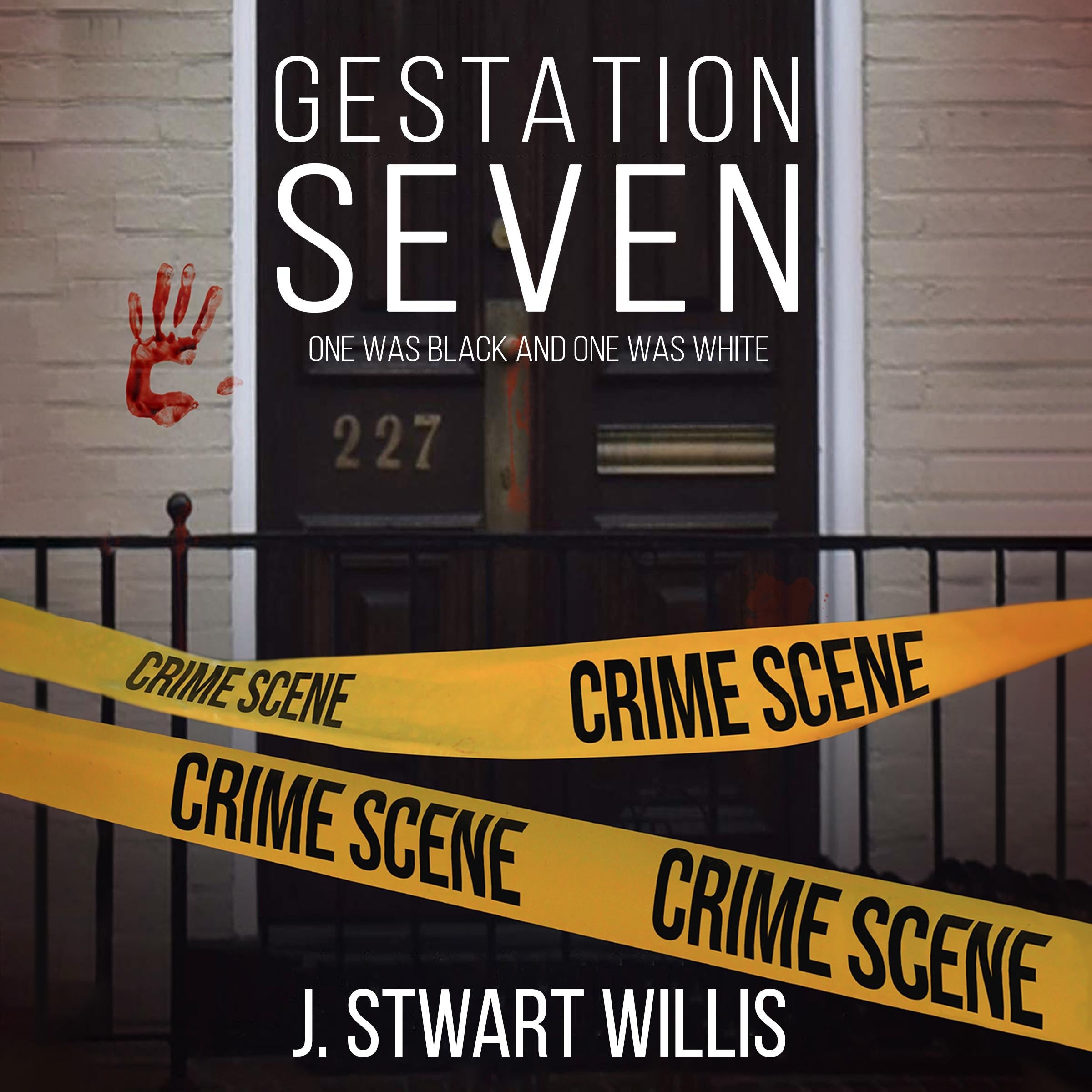 Gestation Seven One Was Black and One Was White