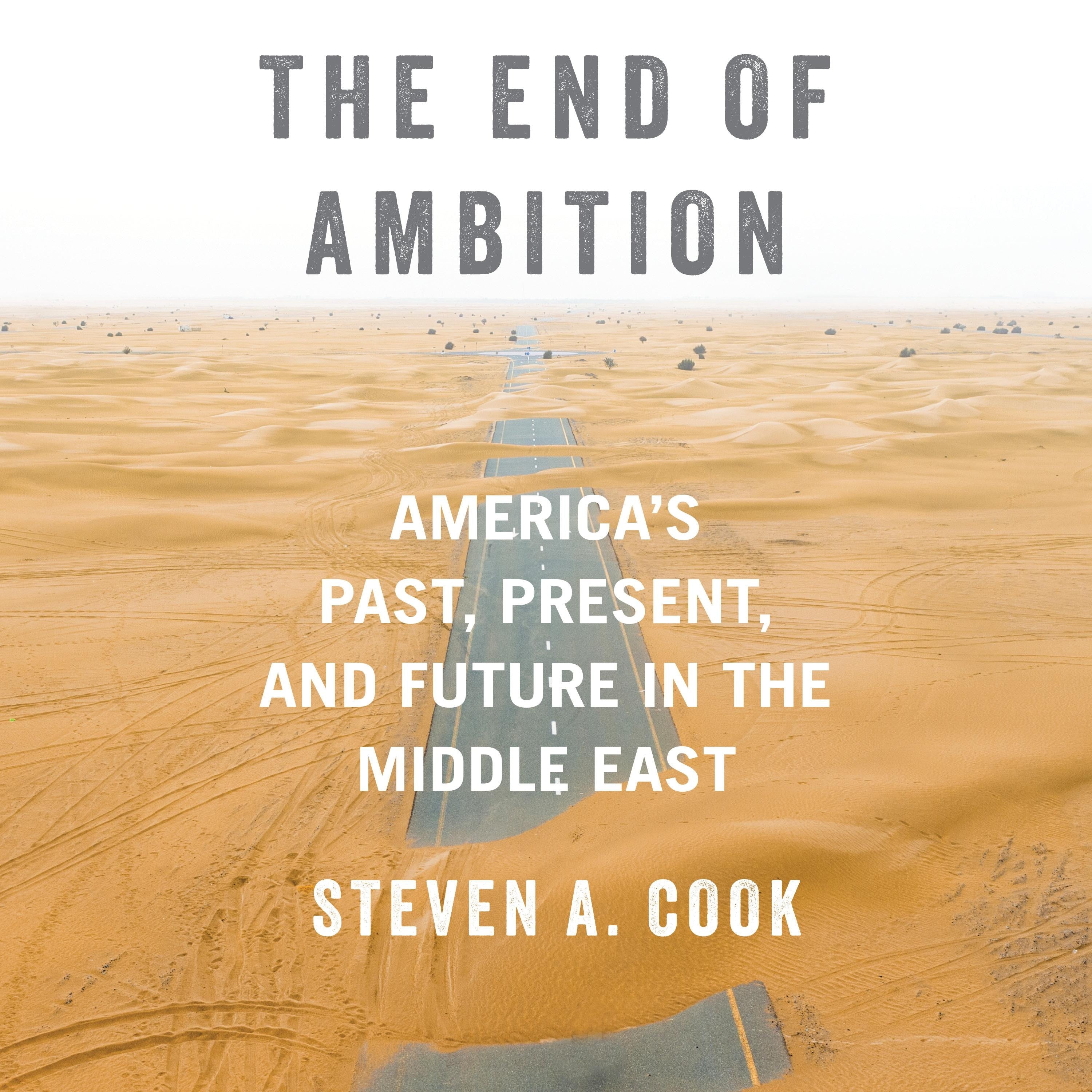 The End of Ambition