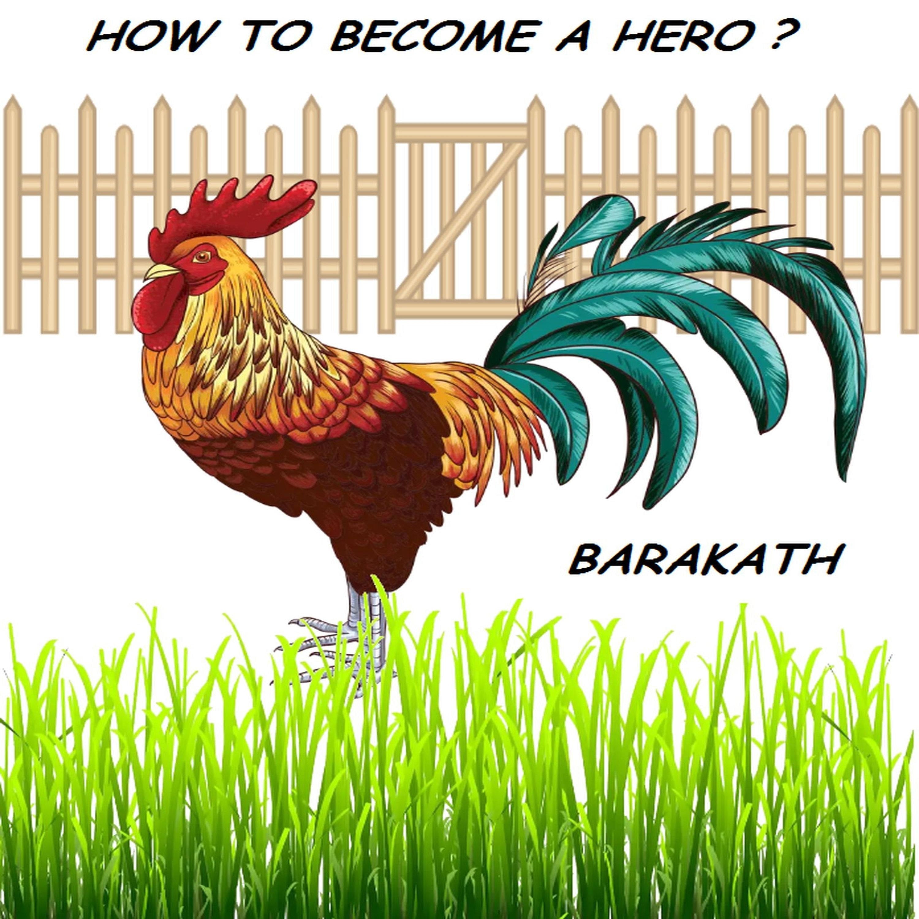 How to become a hero?