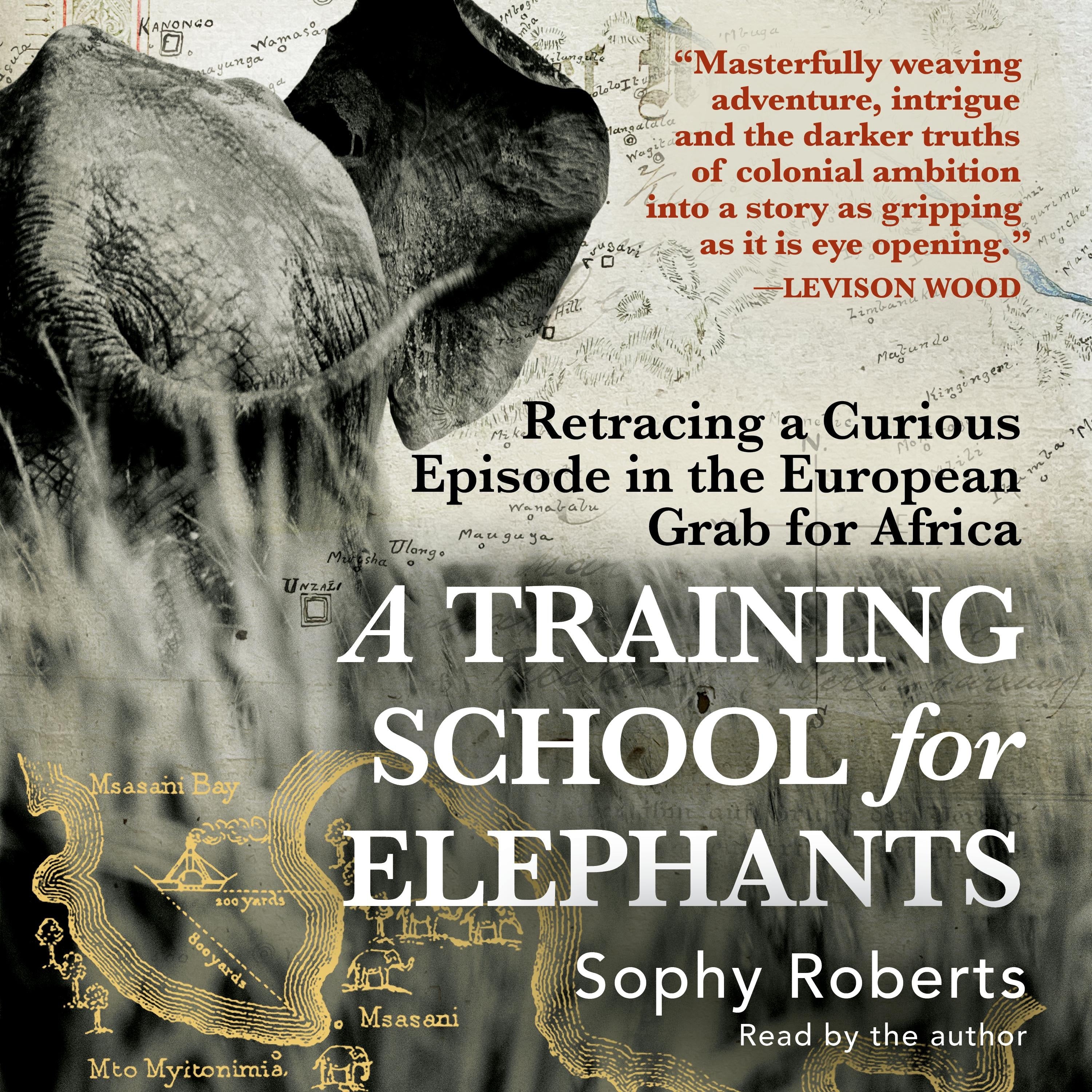 A Training School for Elephants
