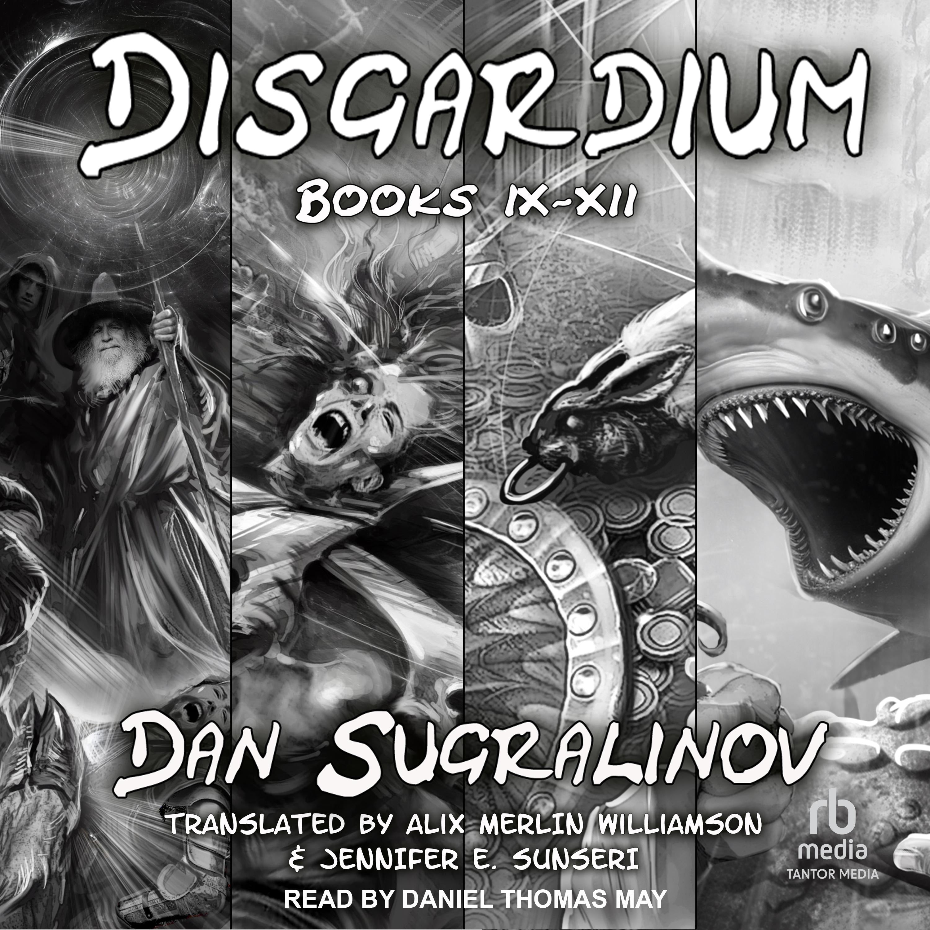 Disgardium Series Boxed Set