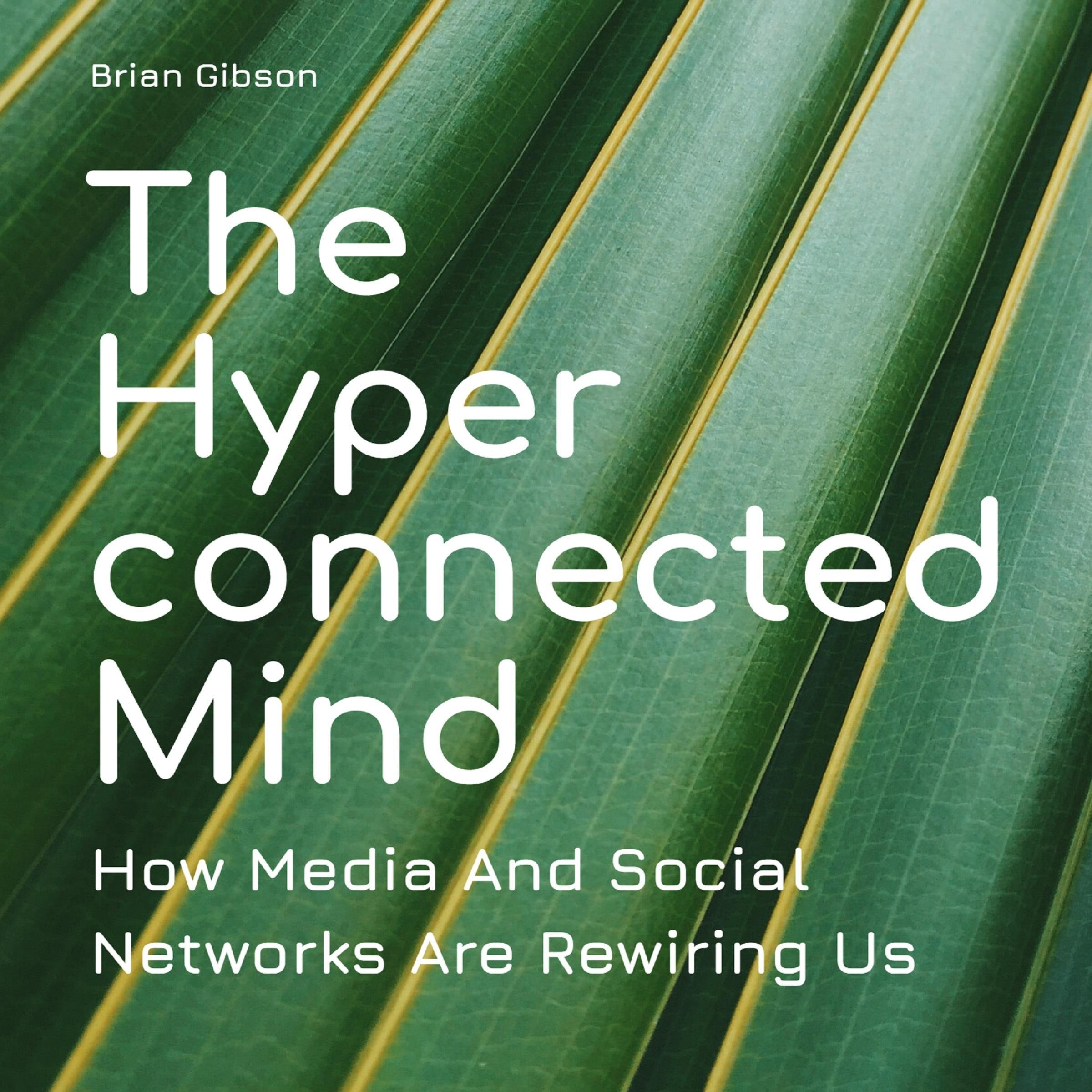 The Hyperconnected Mind