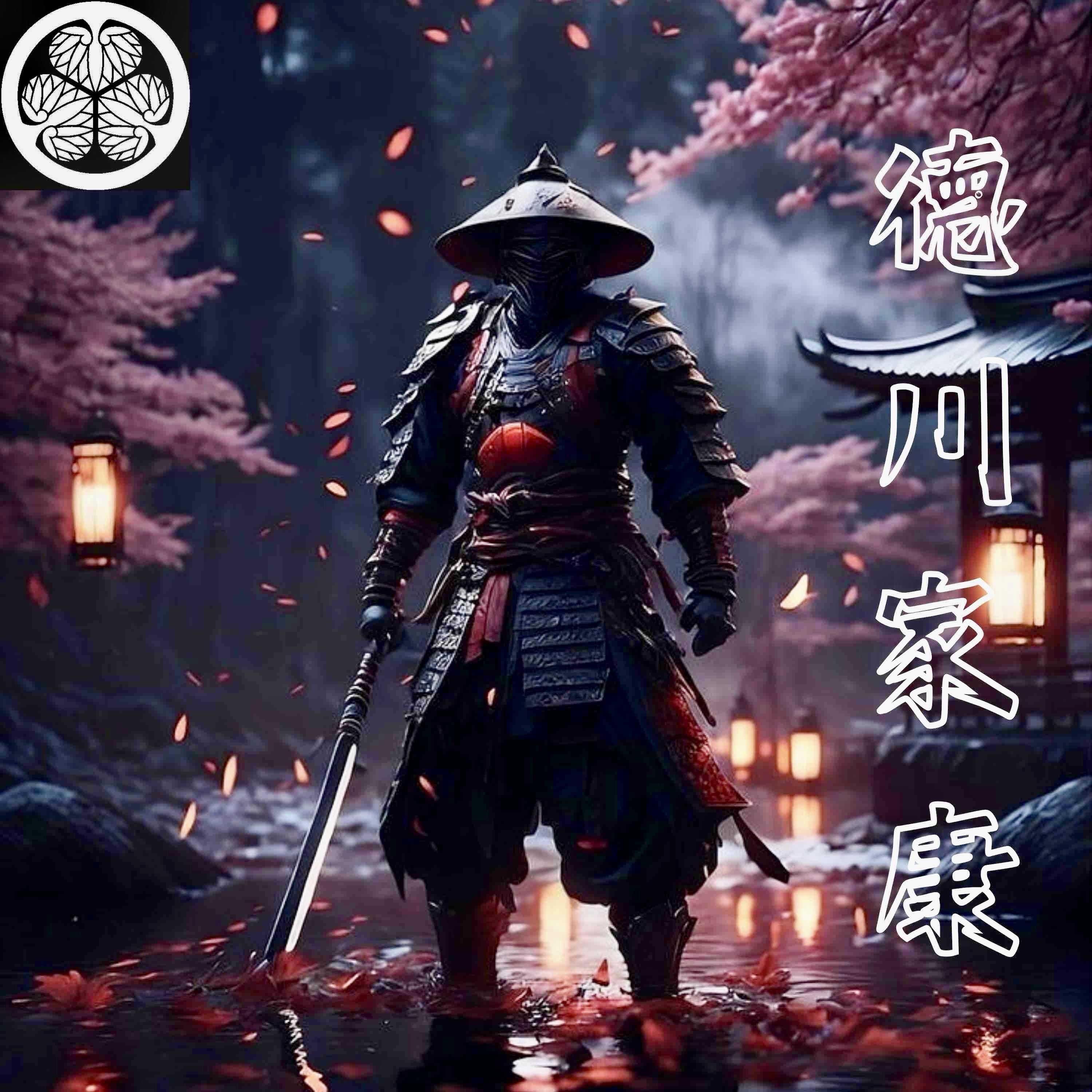 德川家康 10-13 终章