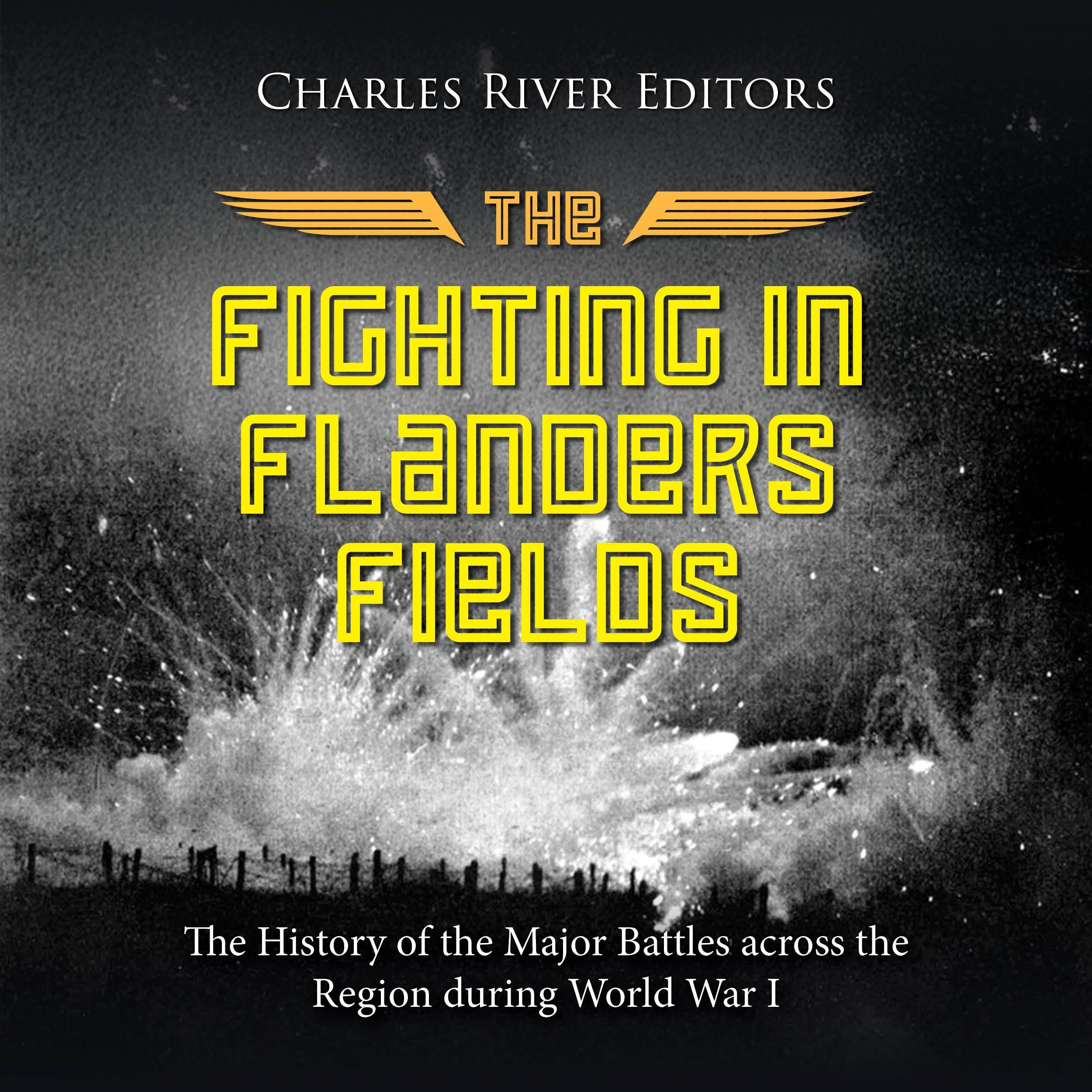 The Fighting in Flanders Fields: The History of the Major Battles across the Region during World War I