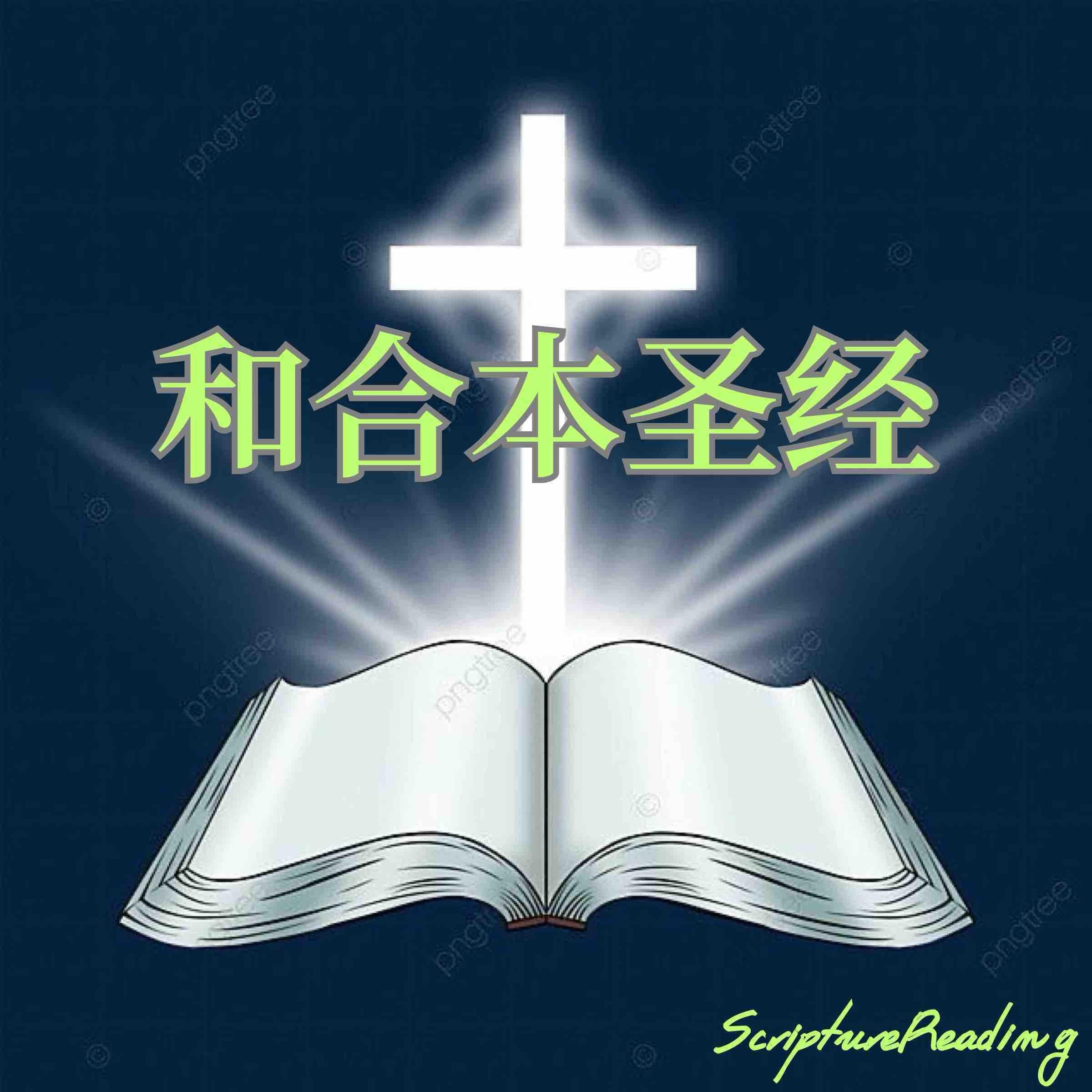 和合本圣经