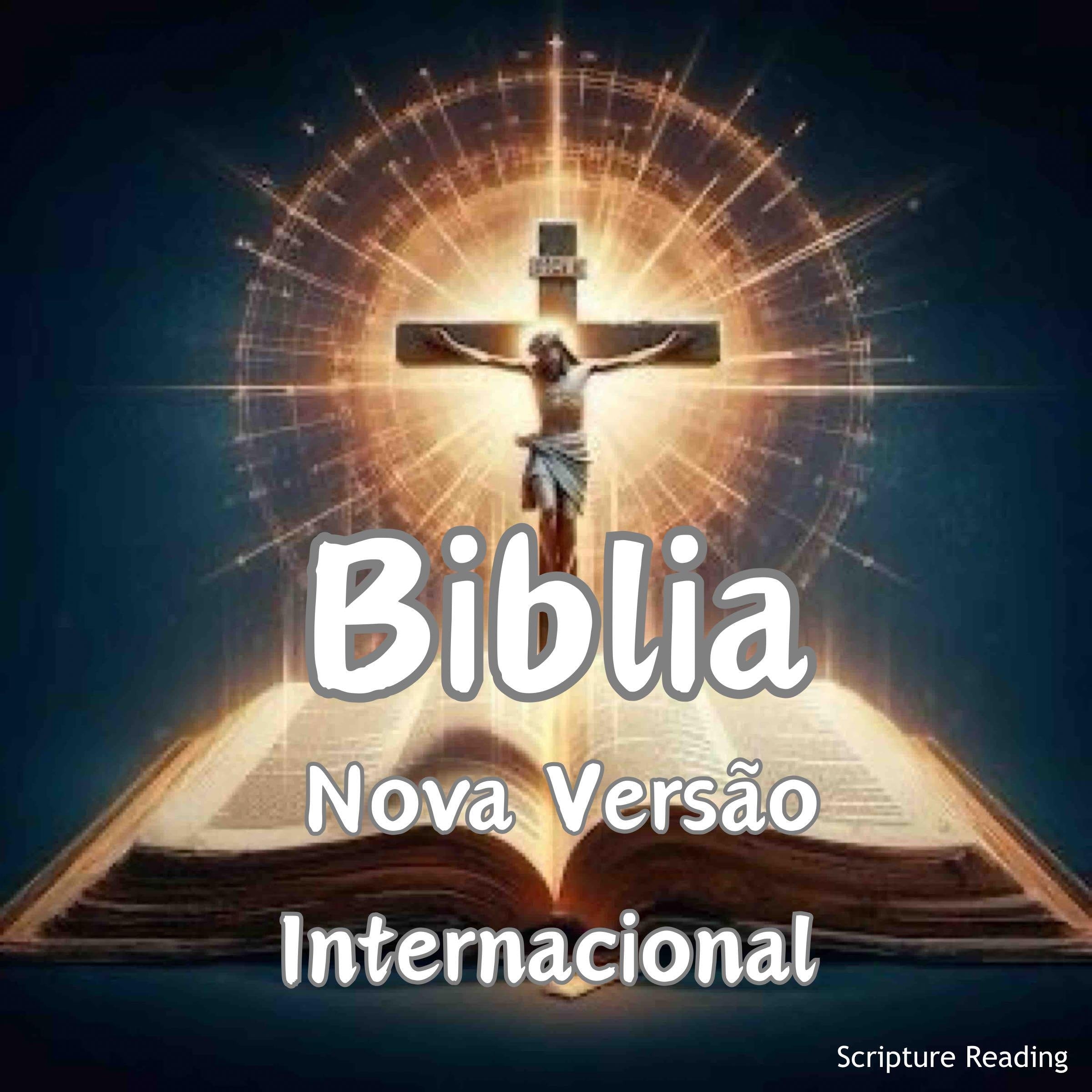 Biblia - Nova Versão Internacional